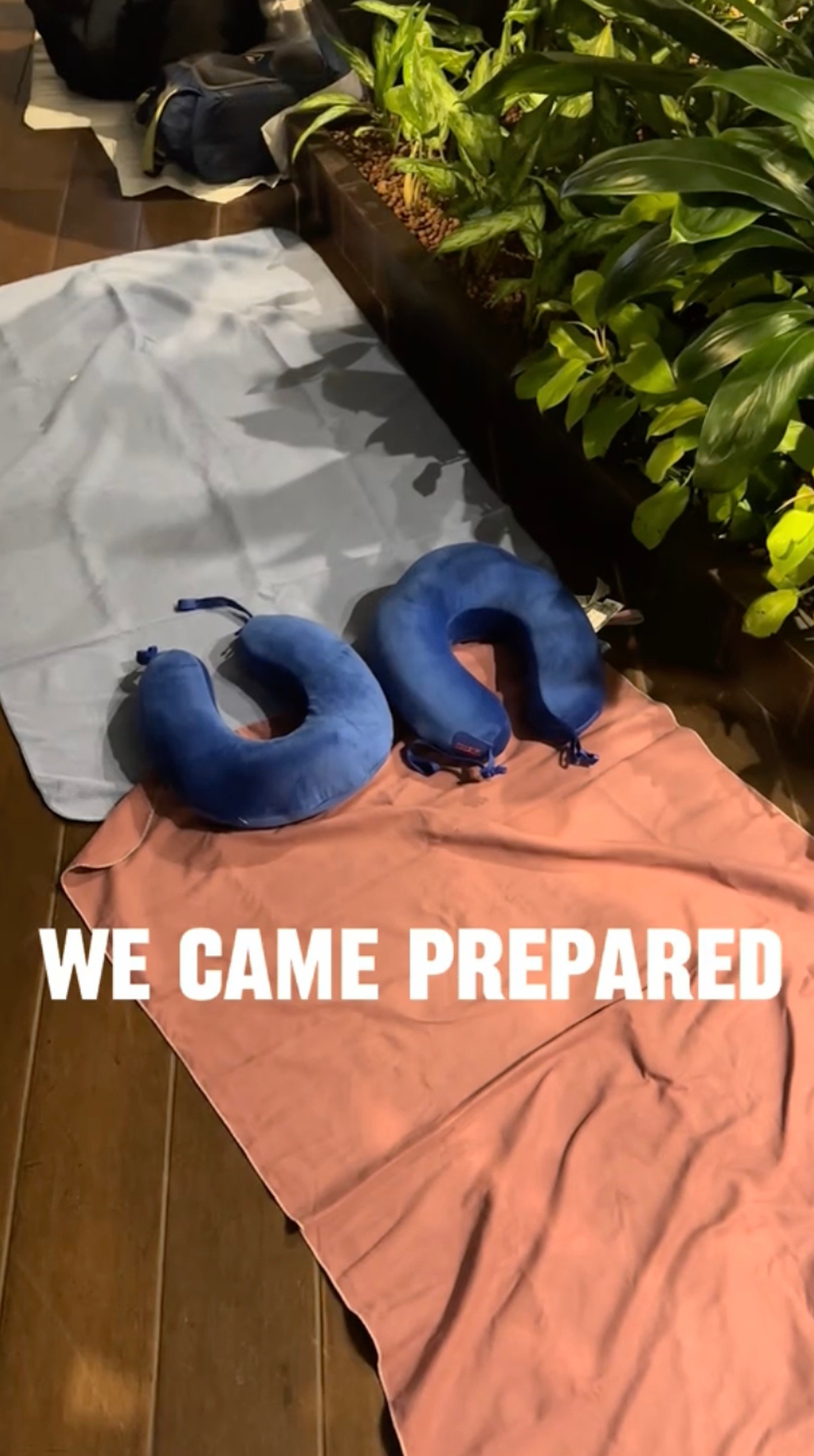 While it may not have been the most restful night, as the couple spread their blankets on the garden floor and used inflatable neck cushions, it was certainly free. Photo: TikTok/sheridan.tate8 While it may not have been the most restful night, as the couple spread their blankets on the garden floor and used inflatable neck cushions, it was certainly free. Photo: TikTok/sheridan.tate8