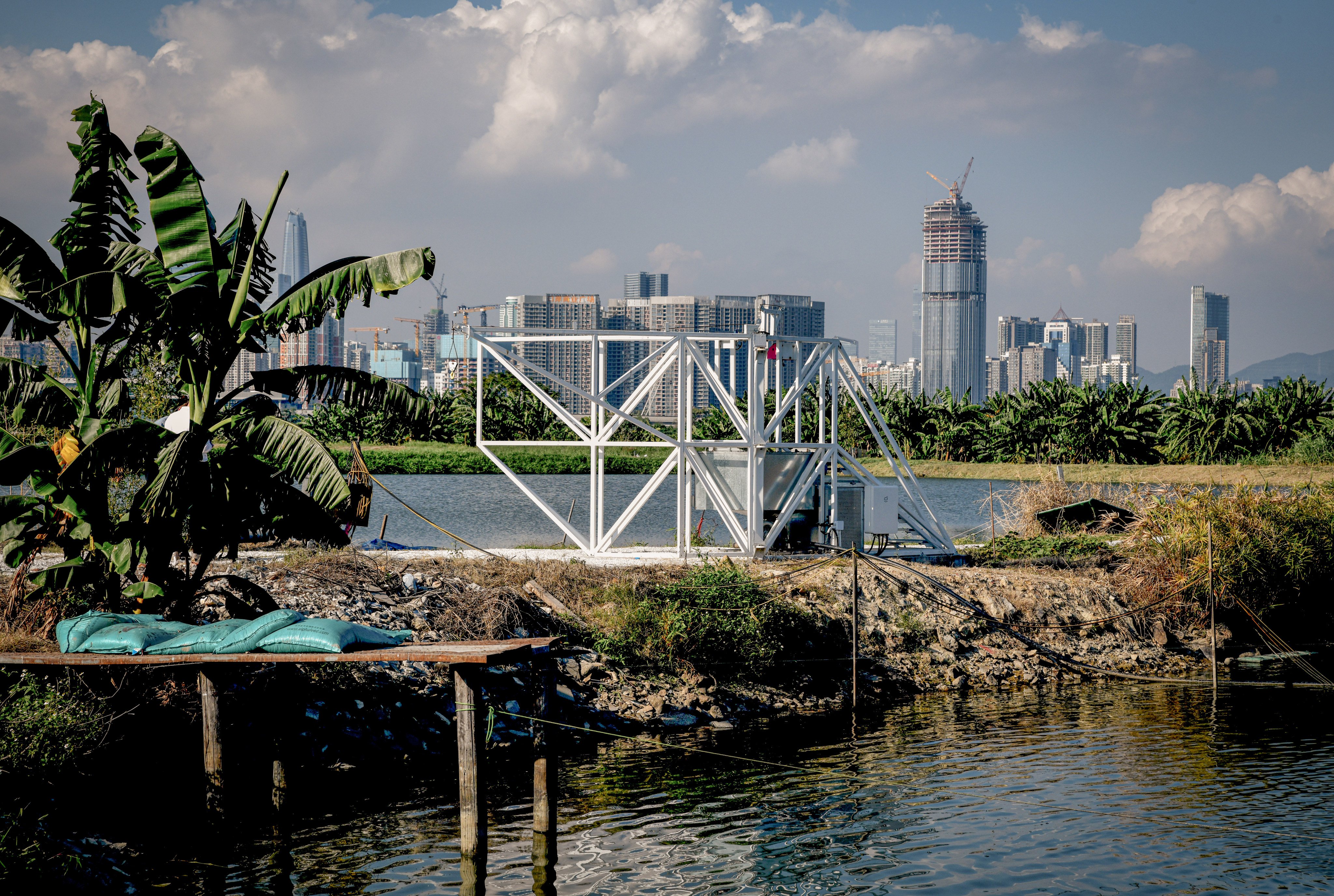 The artificial landscape supports the natural ecosystem and improves the economic efficiency of the fishpond operators. Photo: Donn Holohan