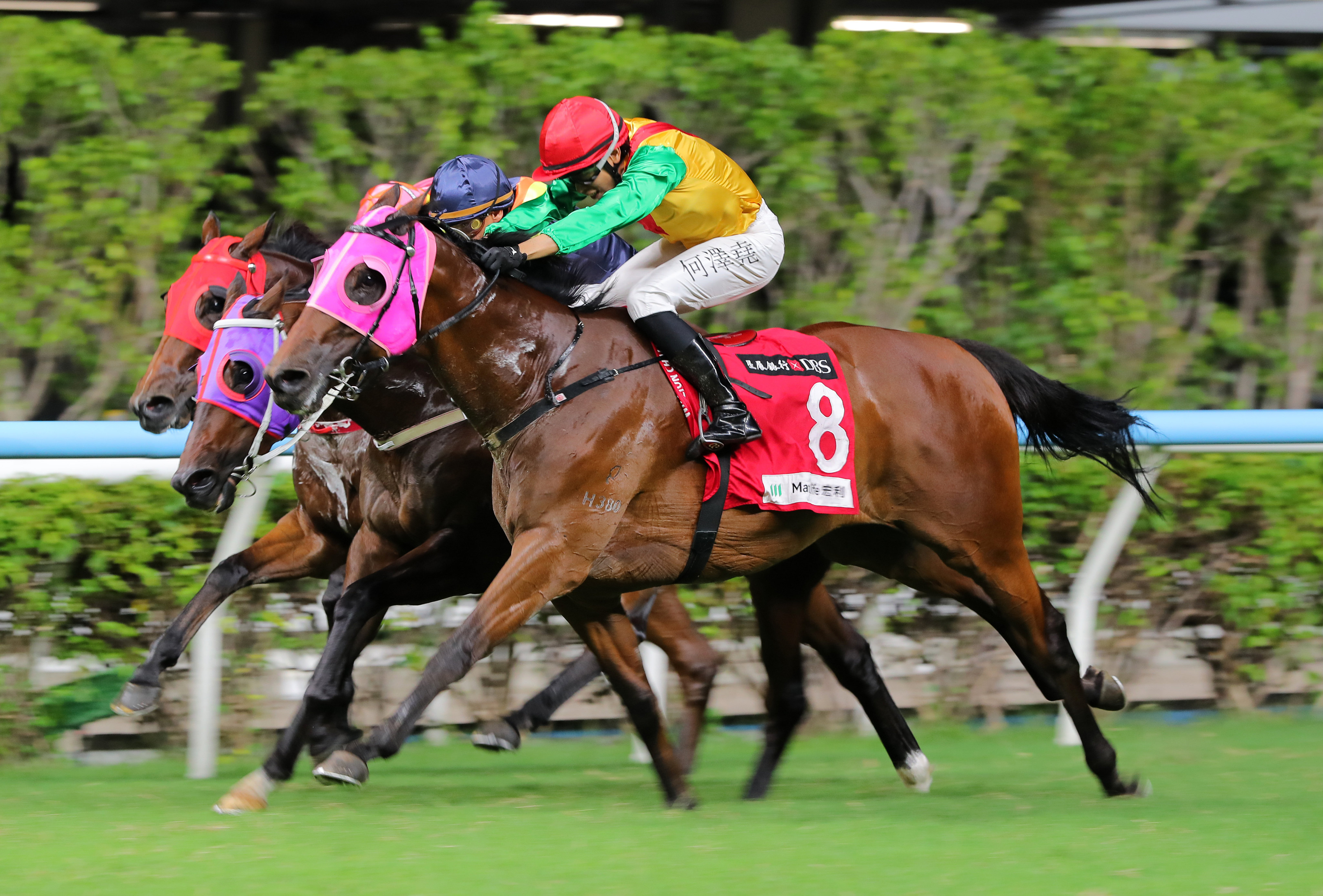 Speed Dragon gets up in the last strides under Vincent Ho. Photo: Kenneth Chan