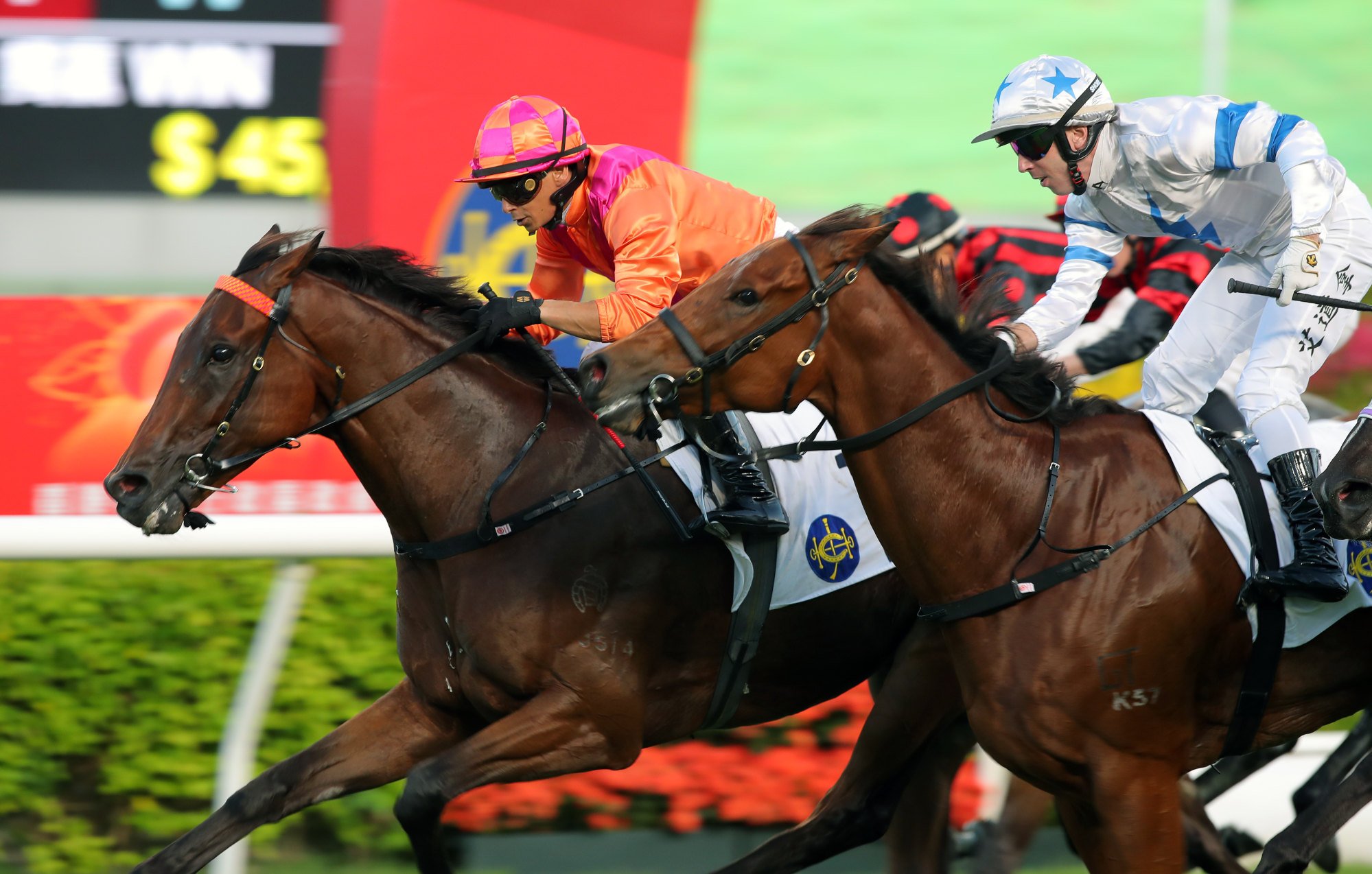 Max Que storms through a gap to win under Alexis Badel.