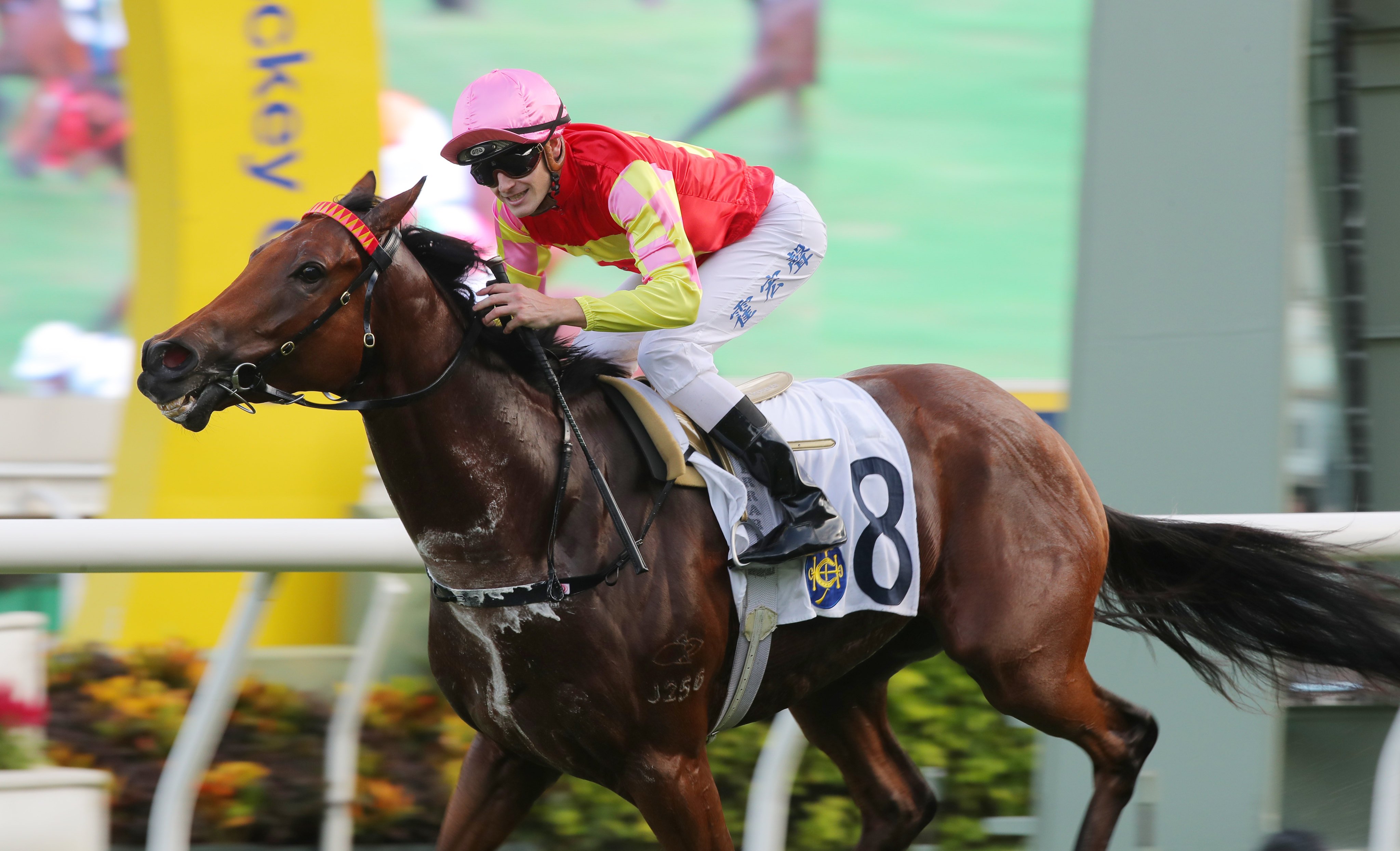 My Wish makes a winning Group Three return. Photo: Kenneth Chan