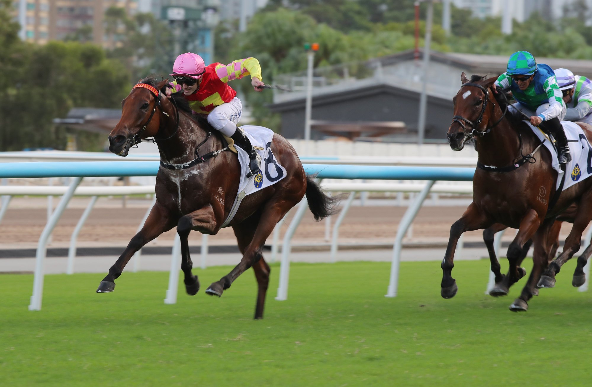 My Wish wins the Celebration Cup under Luke Ferraris.