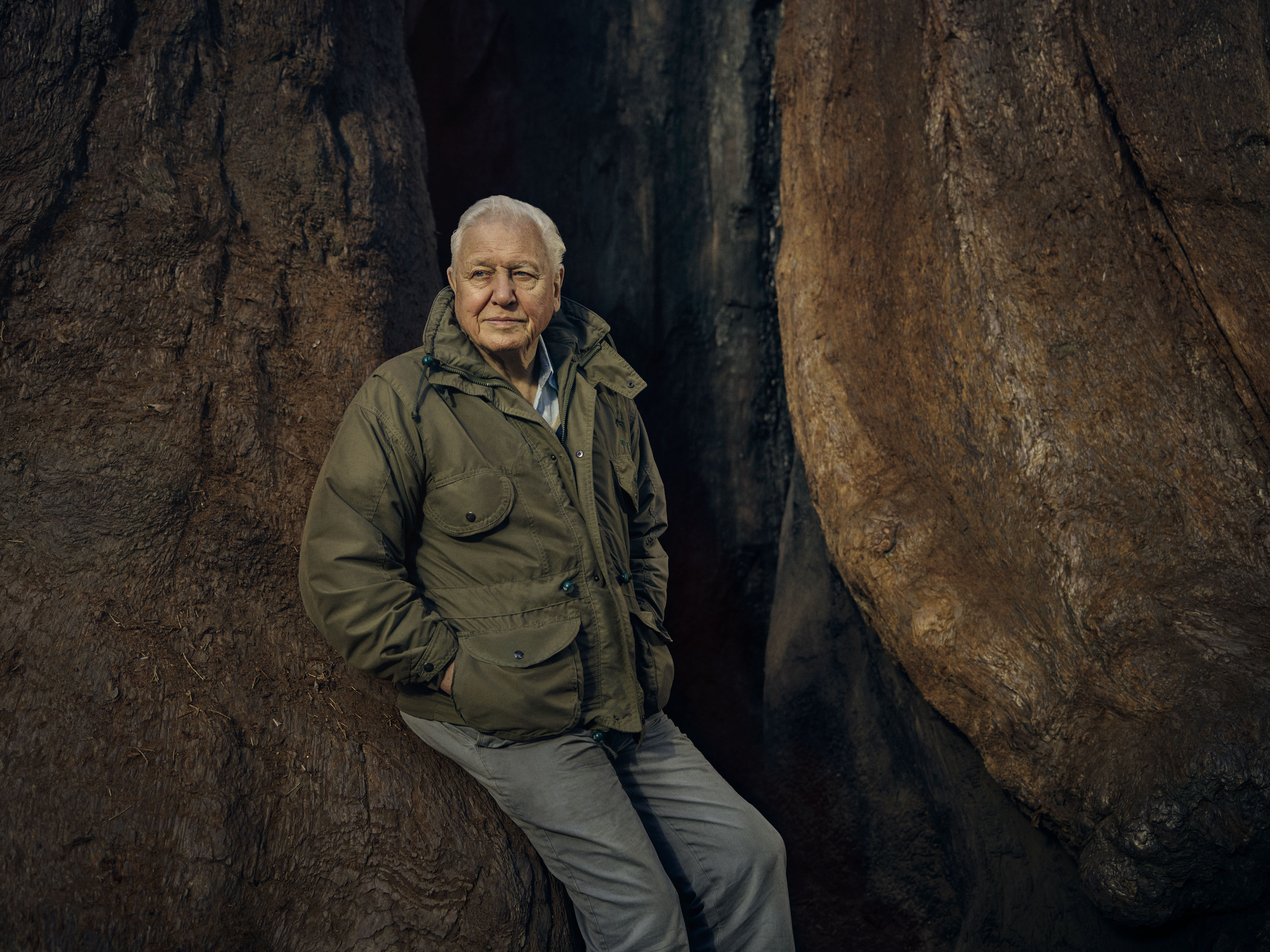 British naturalist David Attenborough becomes oldest Emmy winner at 99