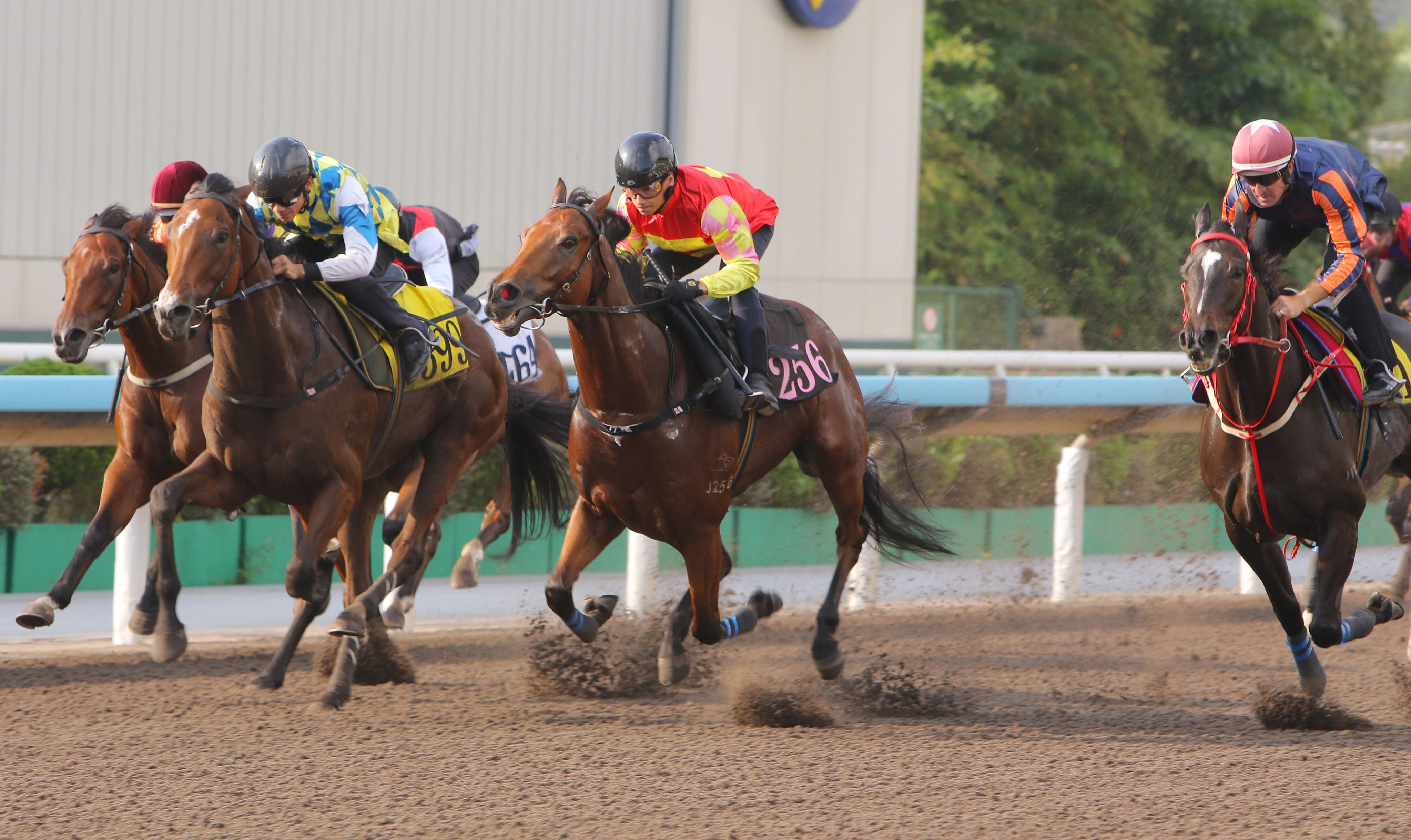 Alexis Badel guides My Wish (centre) to victory in a dirt trial last week. Photos: Kenneth Chan