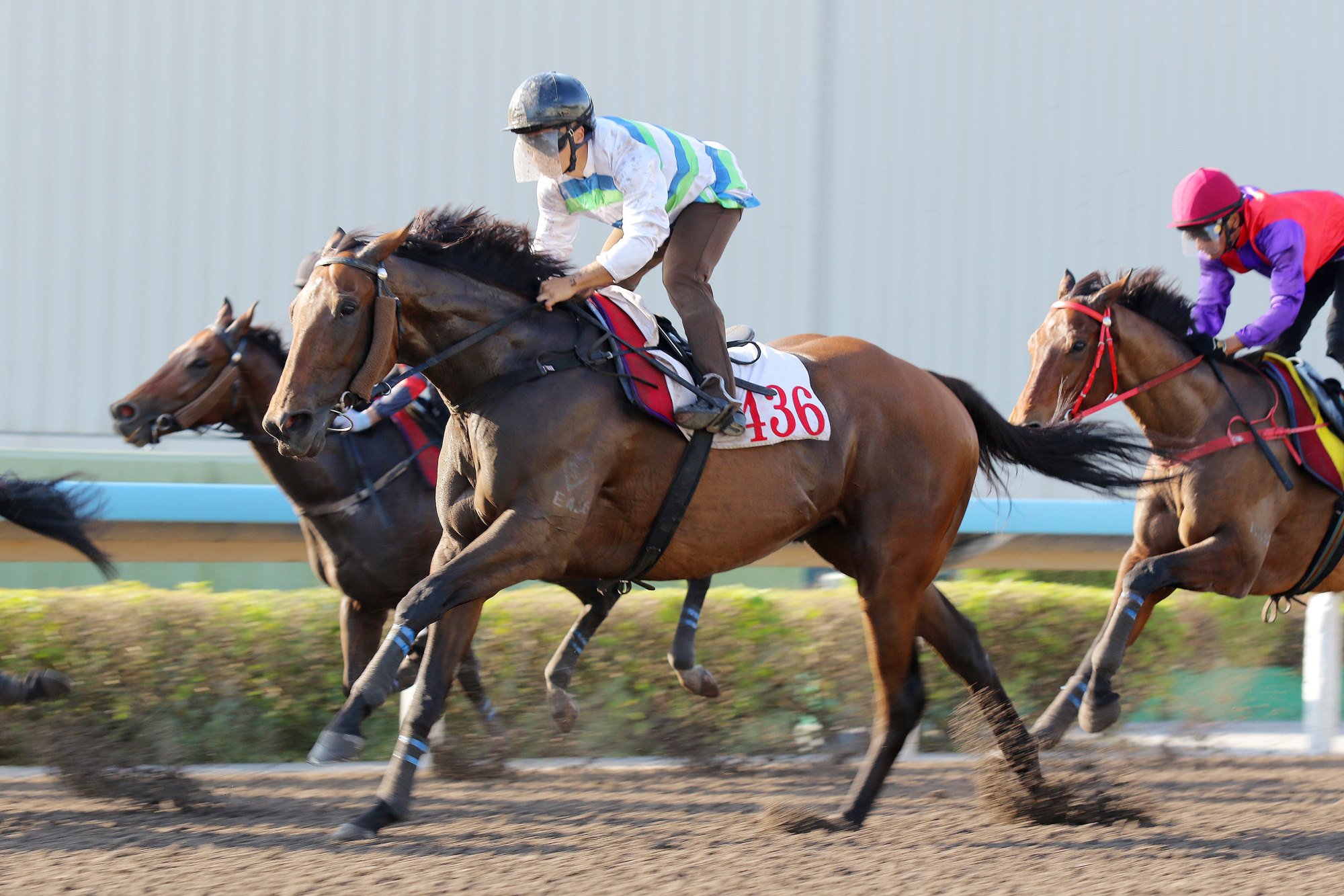 Matthew Poon puts Voyage Bubble through his paces in a dirt trial last month.