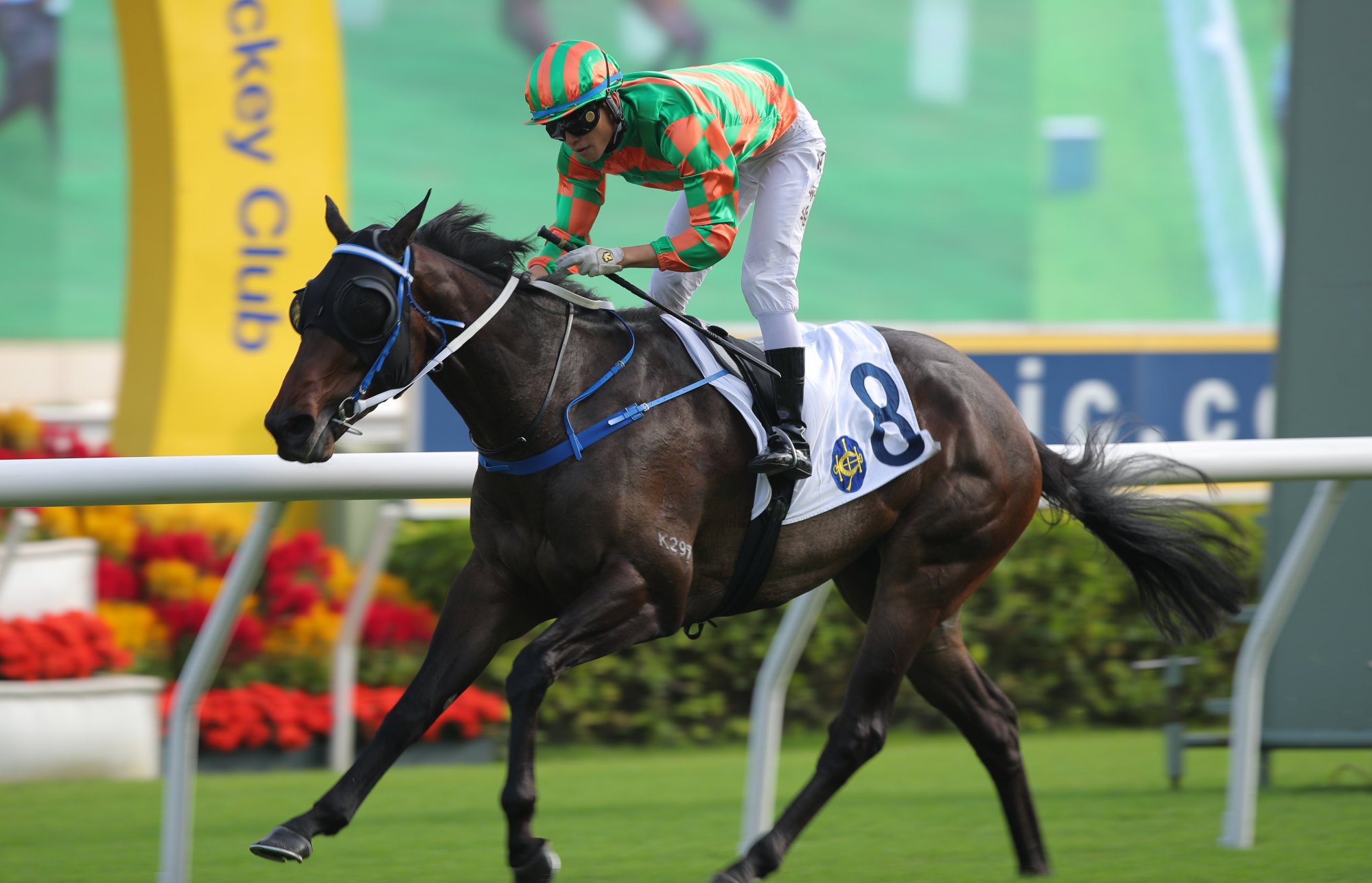 Pejibaye cruises home under Ellis Wong. Pejibaye cruises home under Ellis Wong.