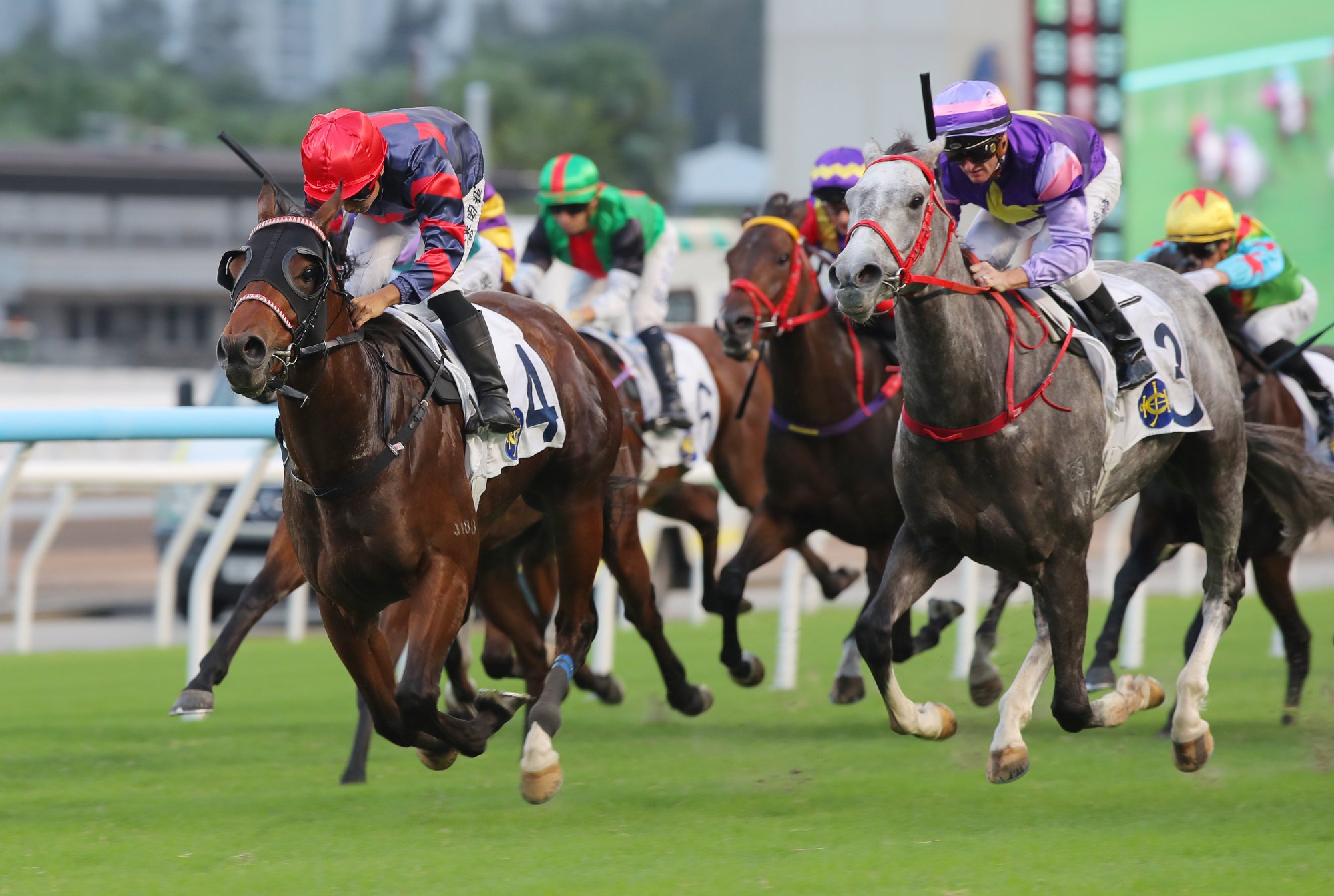 Matthew Poon guides Gracious Express (left) to victory. Matthew Poon guides Gracious Express (left) to victory.