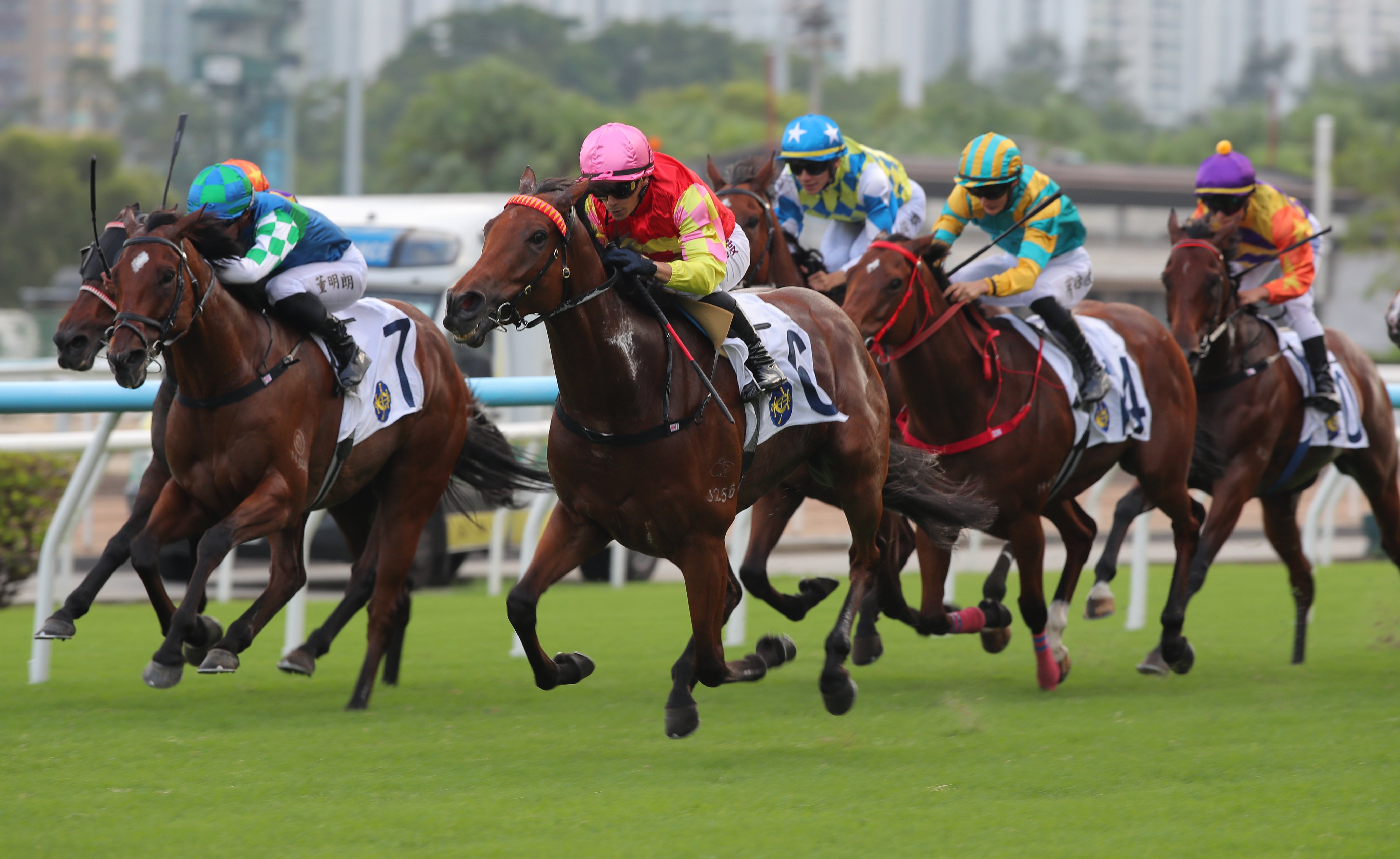 My Wish and Alexis Badel a class apart at Sha Tin. Photos: Kenneth Chan
