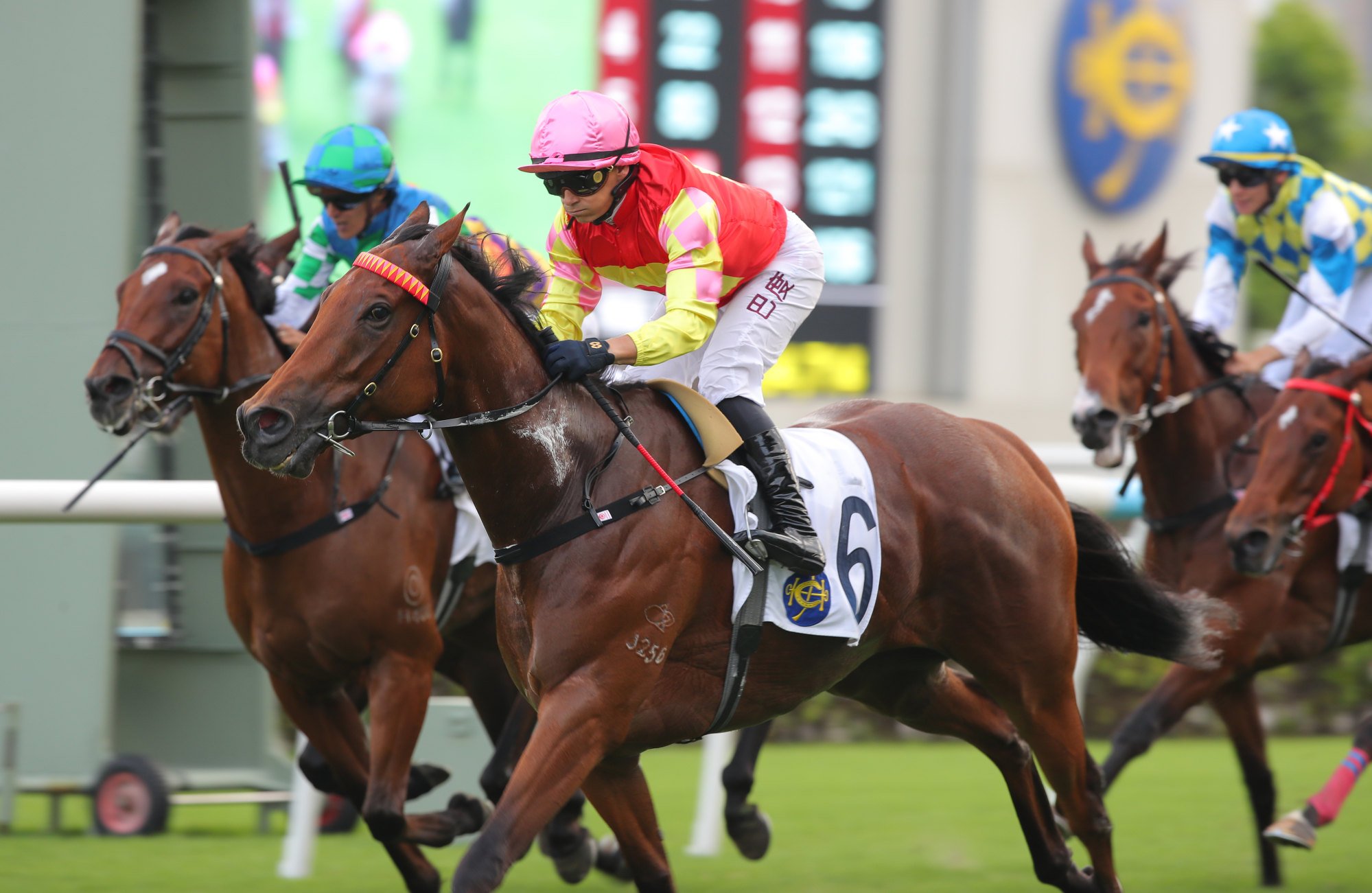 My Wish is set for bigger things after his Group Two romp My Wish is set for bigger things after his Group Two romp