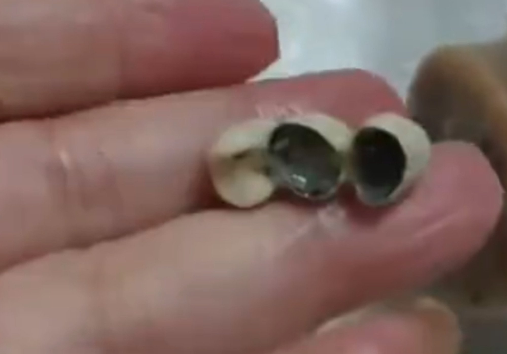 Under China’s Food Safety Law, companies that produce or sell food that fails to meet safety standards are required to compensate consumers 10 times the purchase price or three times the losses incurred due to the issue. Photo: Weibo Under China’s Food Safety Law, companies that produce or sell food that fails to meet safety standards are required to compensate consumers 10 times the purchase price or three times the losses incurred due to the issue. Photo: Weibo