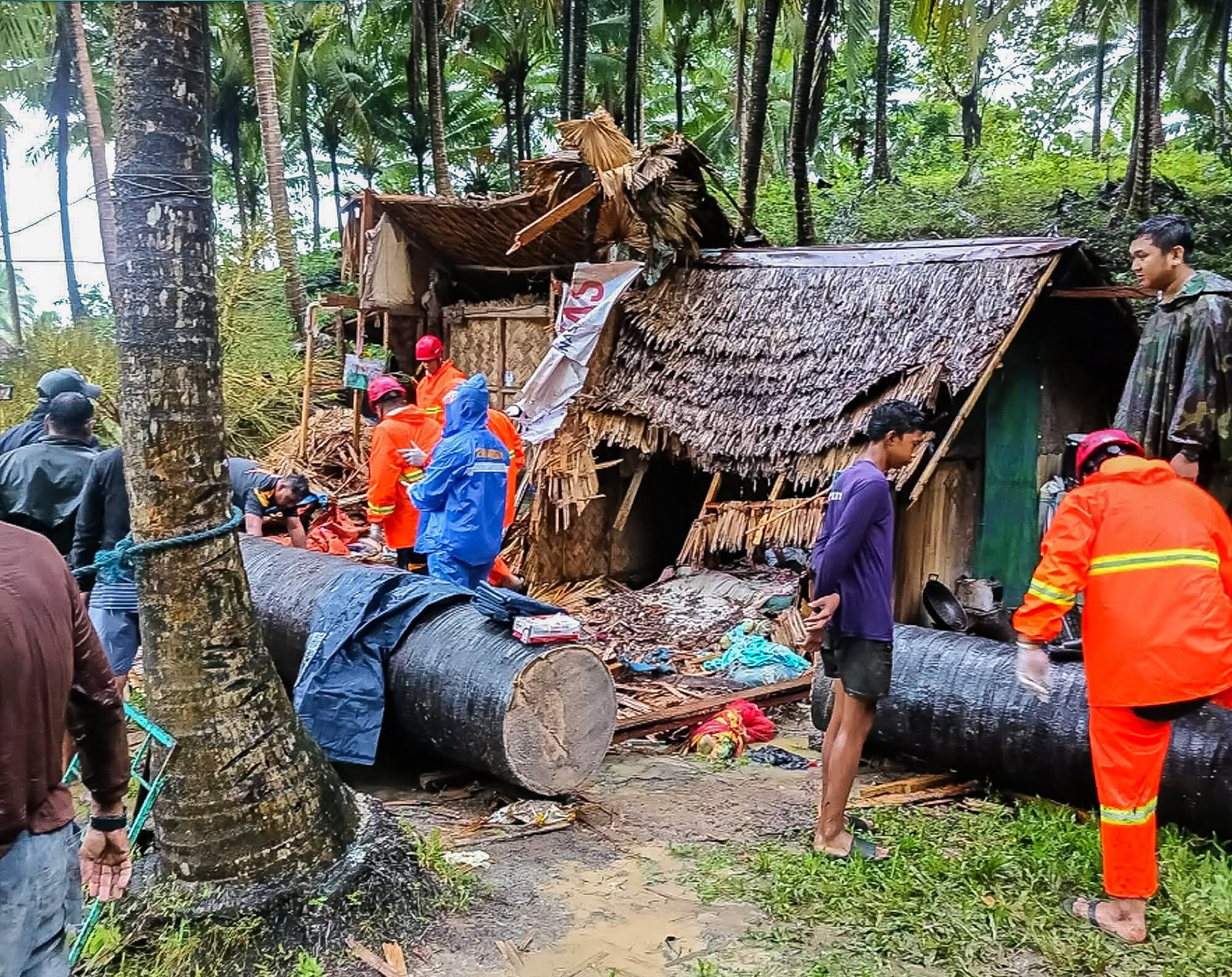 Rescuers work at the site of a house that was crushed by a fallen tree in Quezon province, the Philippines, amid strong winds brought by Tropical Storm Fengshen on Sunday. Photo: Xinhua