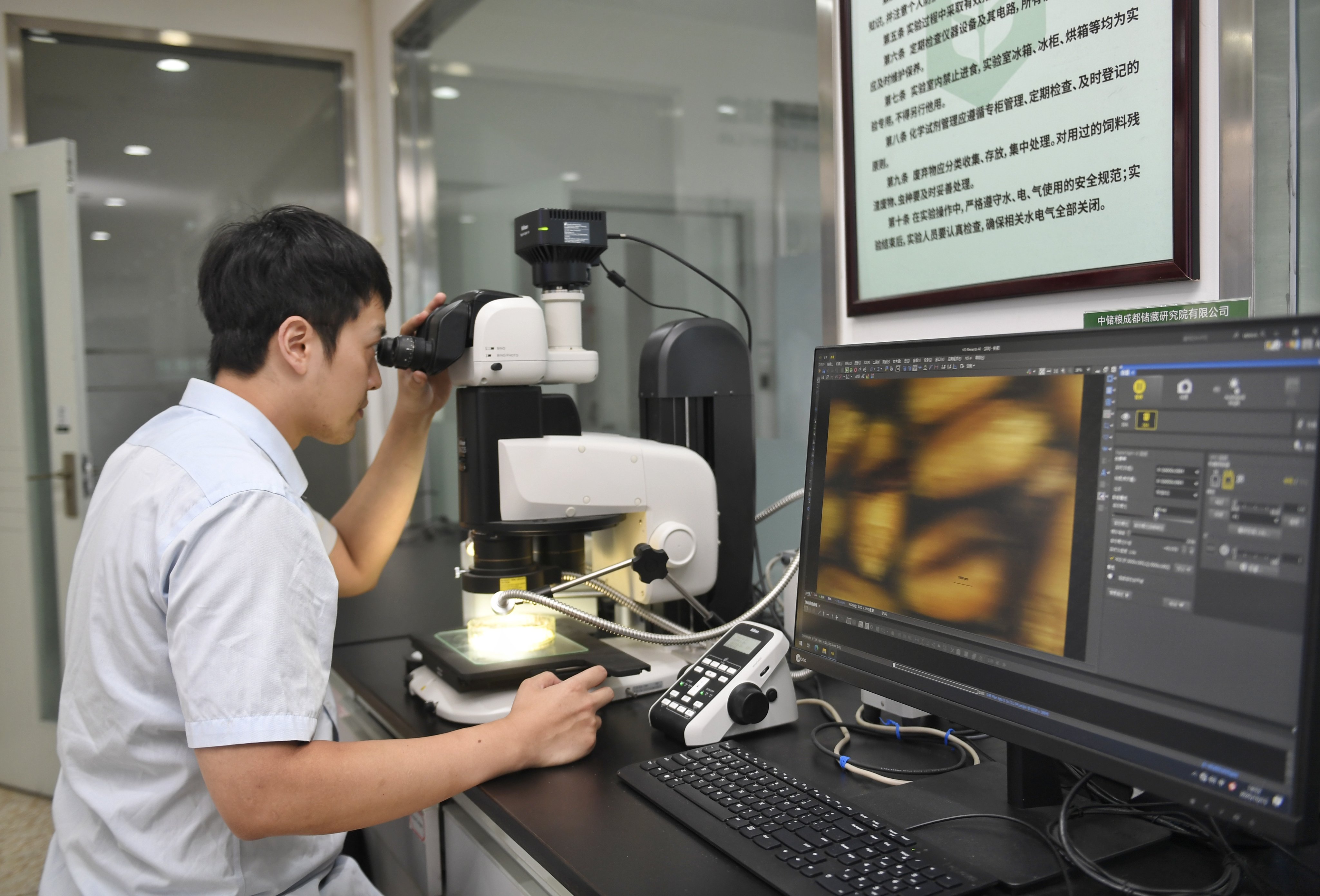 A researcher conducts pest-control experiments at a branch of Sinograin in Chengdu, Sichuan province on October 15. Photo: Xinhua