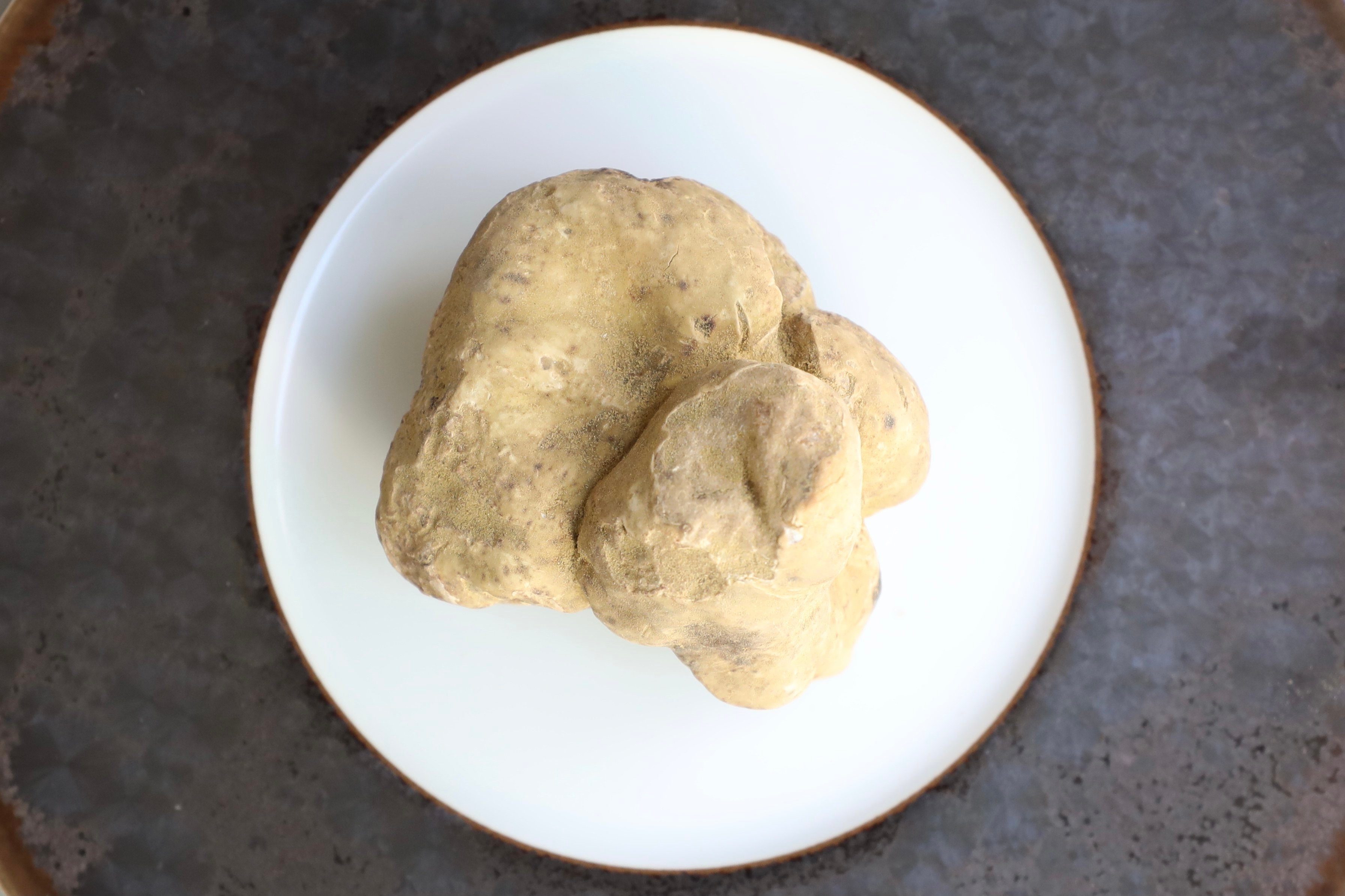 A white truffle. The prized fungus harvested in Italy and parts of France is found at high-end restaurants when it is in season, typically towards the end of the year. Photo: Xiaomei Chen
