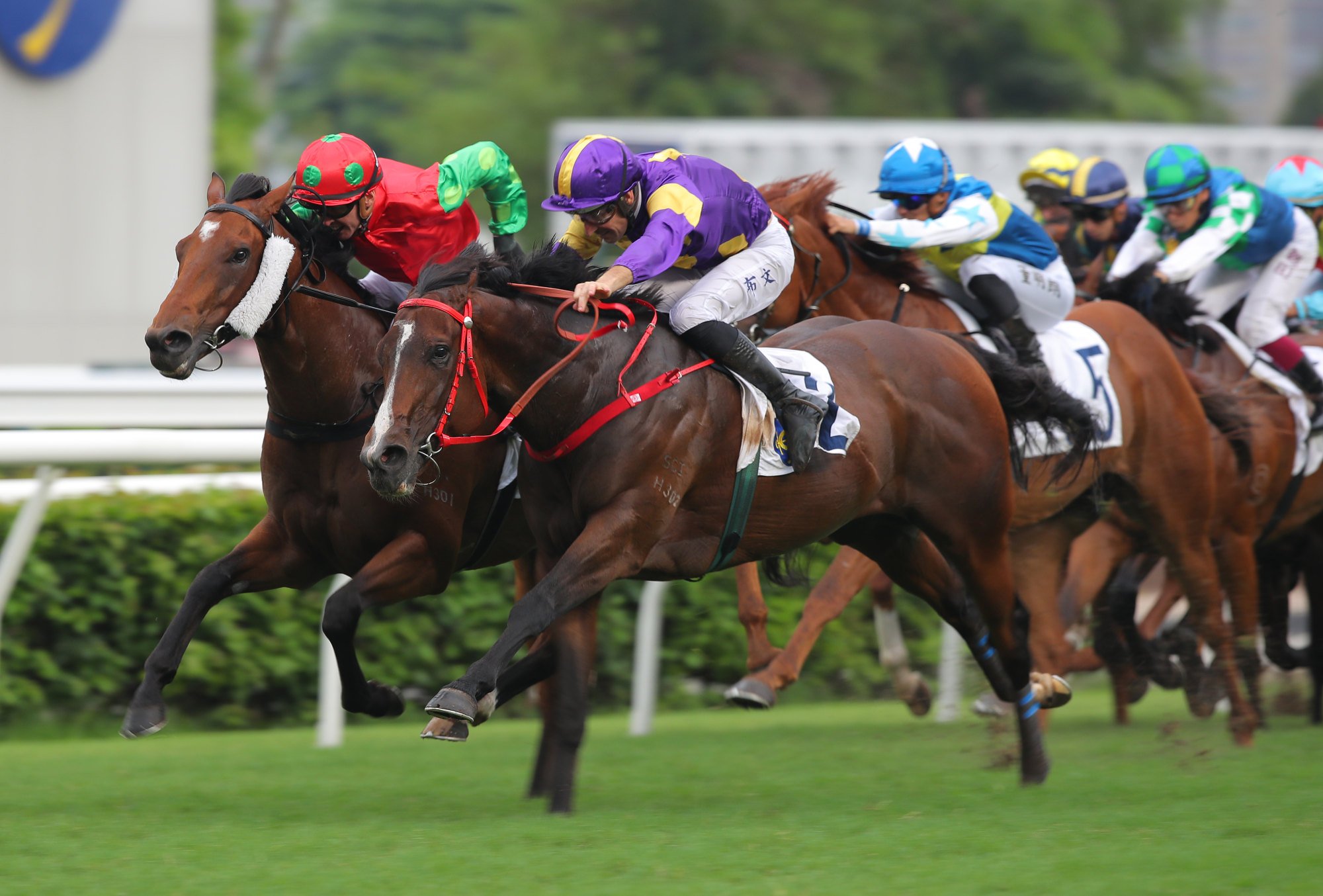 Helios Express (outside) guns down Invincible Sage to win the Sha Tin Vase.