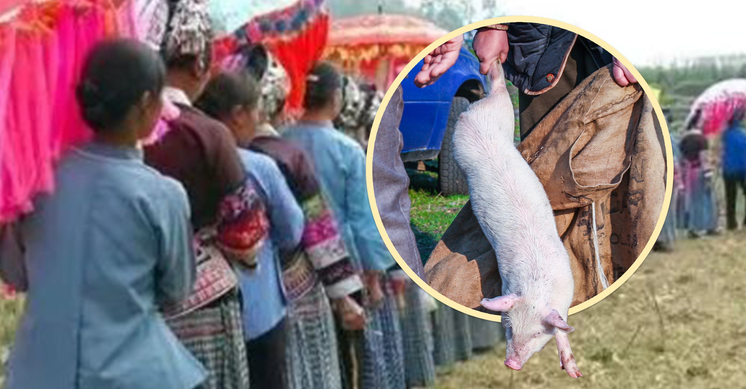 China’s Bouyei ethnic group has a funeral custom called “stealing the pig”, which requires the eldest son-in-law to untie a pig hung above the coffin. Photo: SCMP composite/Shutterstock/Sohu