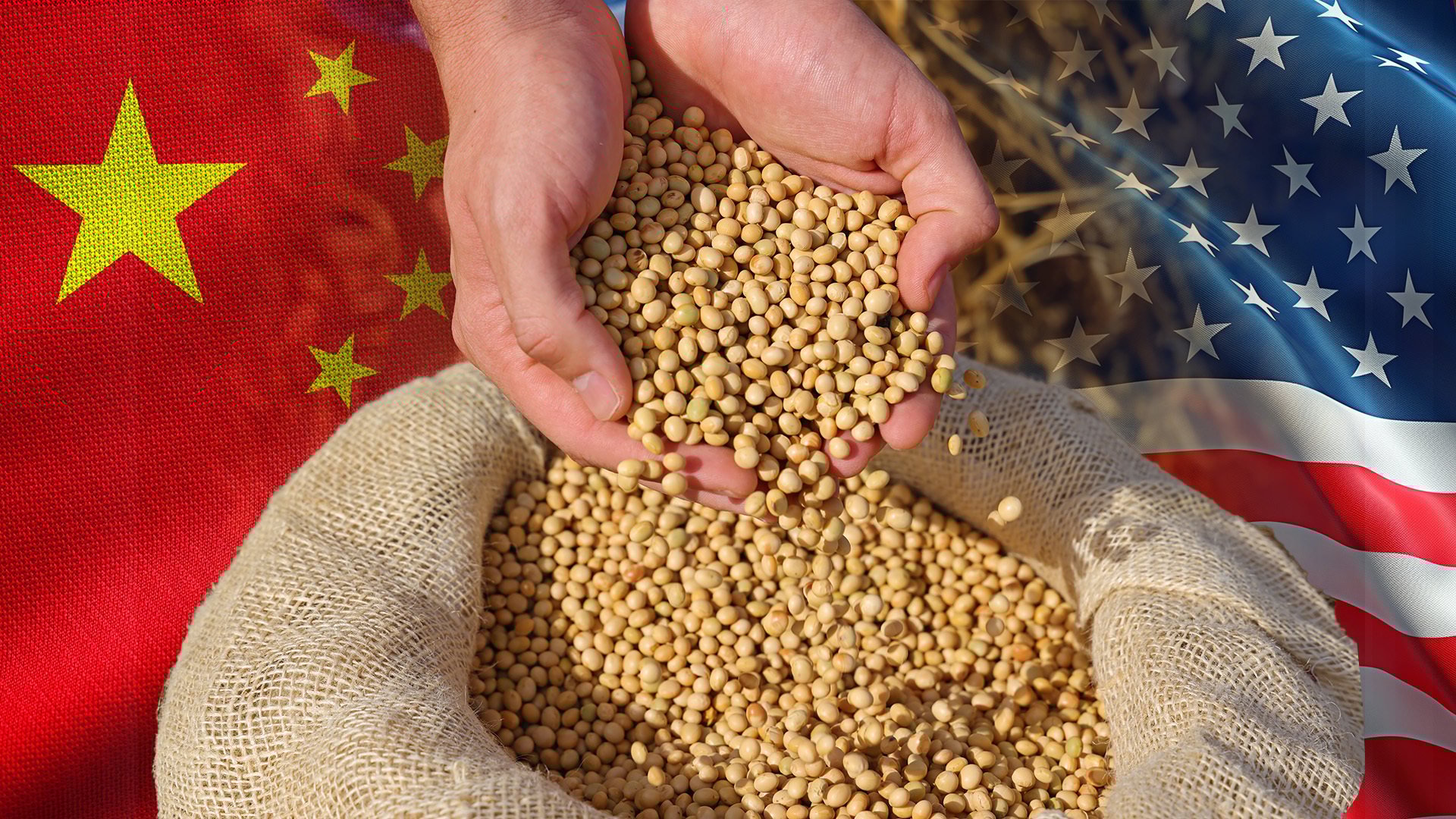 US-China soybean row leaves farmers caught in the middle