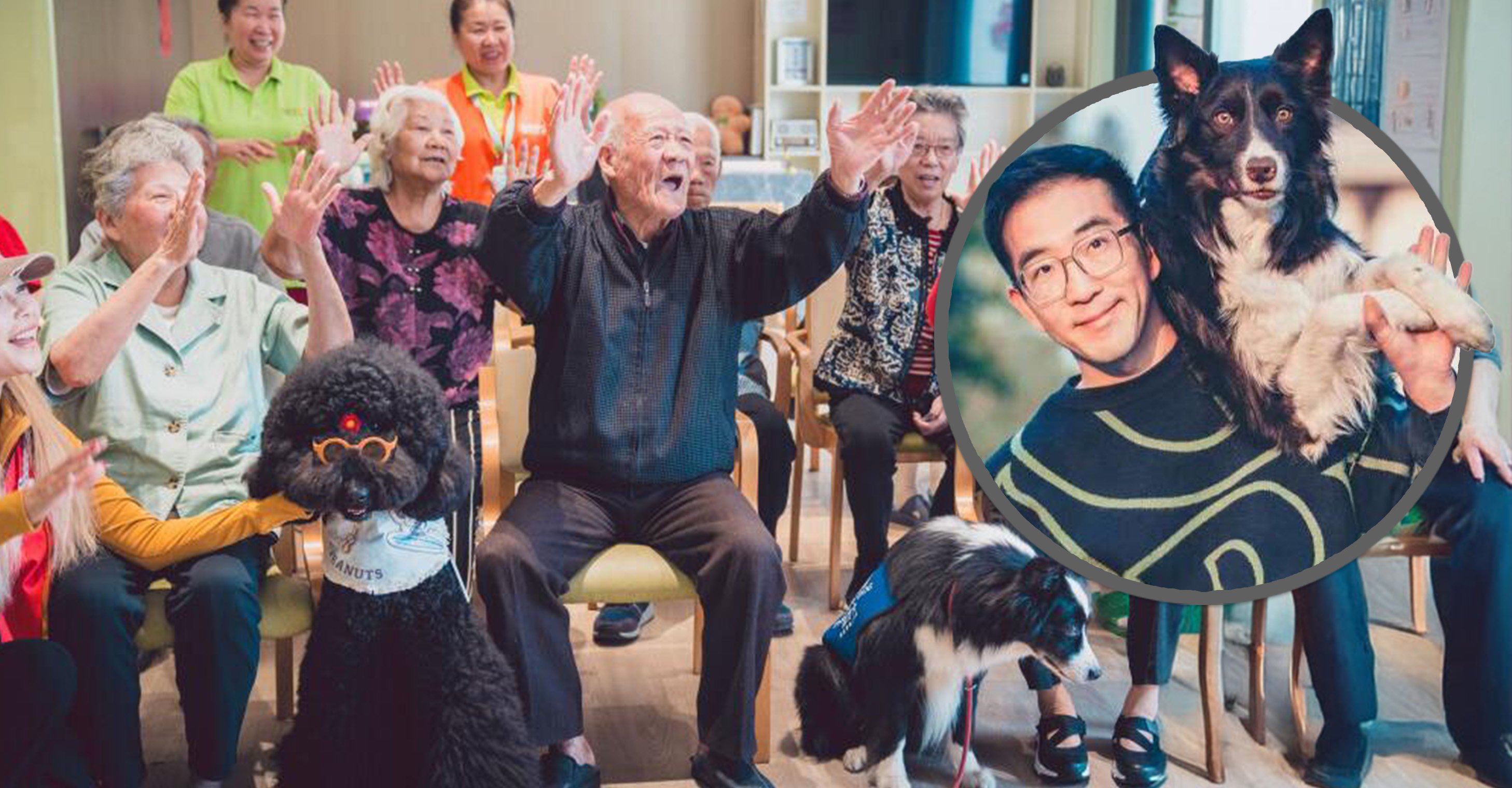 Chinese man quits ‘great job’ to provide therapy dogs which help autistic, depressed people