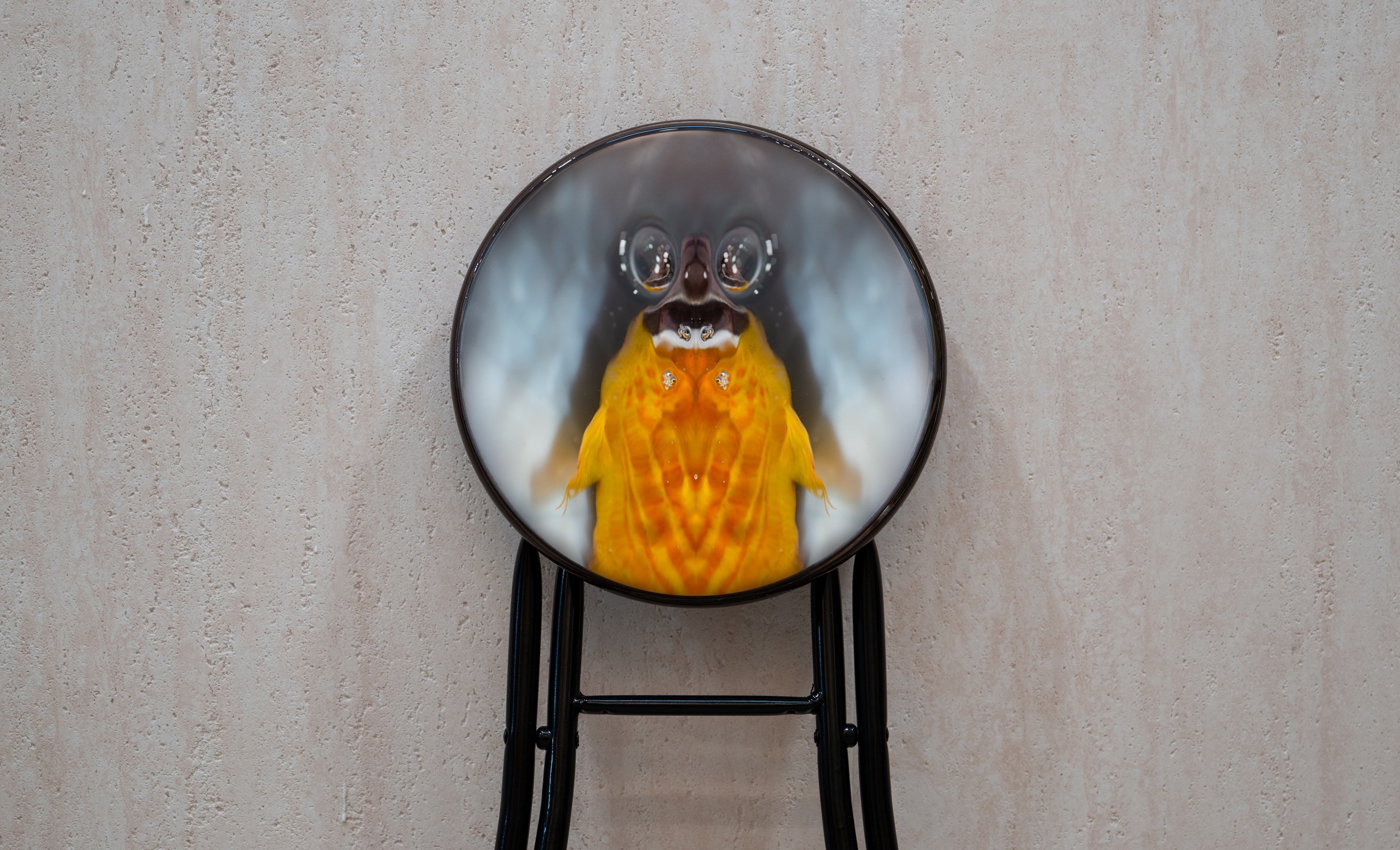 An artwork by David Leung features a pareidolic image of a fish on a folding stool. Photo: courtesy Side Space