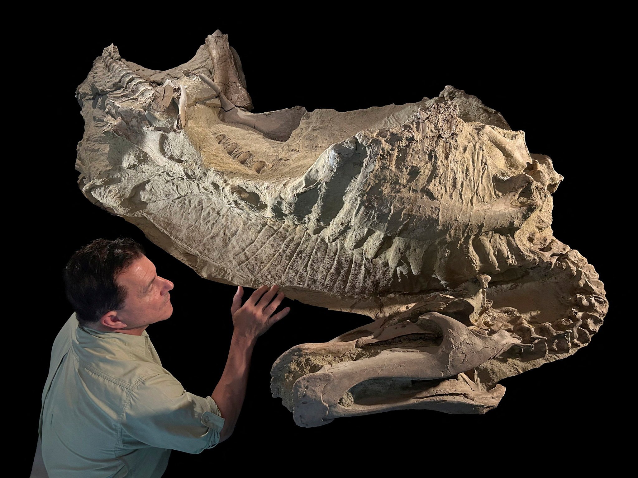Paleontologist Paul Sereno of the University of Chicago examines the fossilised “mummy” of the duck-billed dinosaur Edmontosaurus at the Fossil Lab in Chicago, Illinois. Photo: Tyler Keillor / Fossil Lab / Handout via Reuters