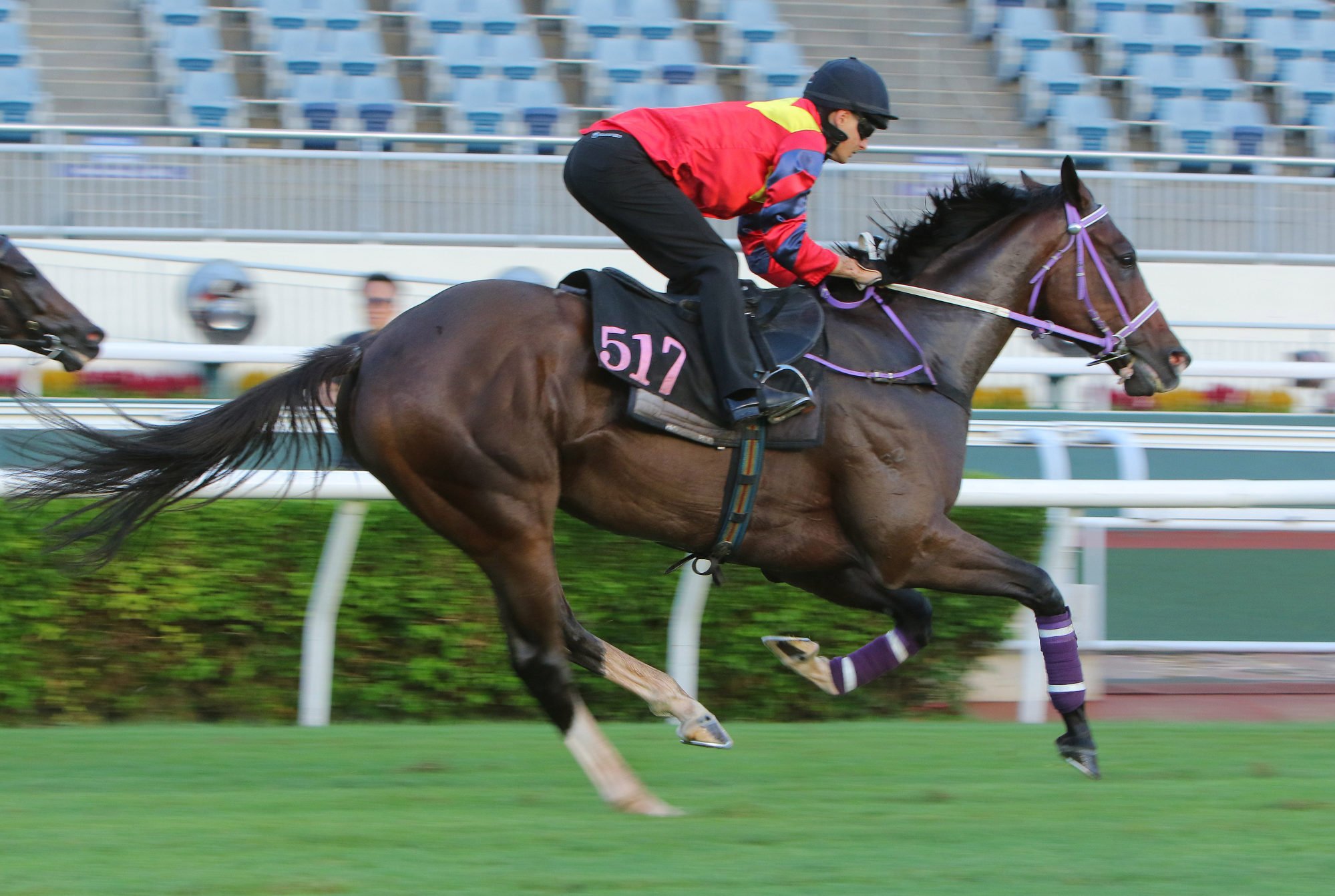 Harry Bentley aboard Hong Lok Golf in a recent trial.