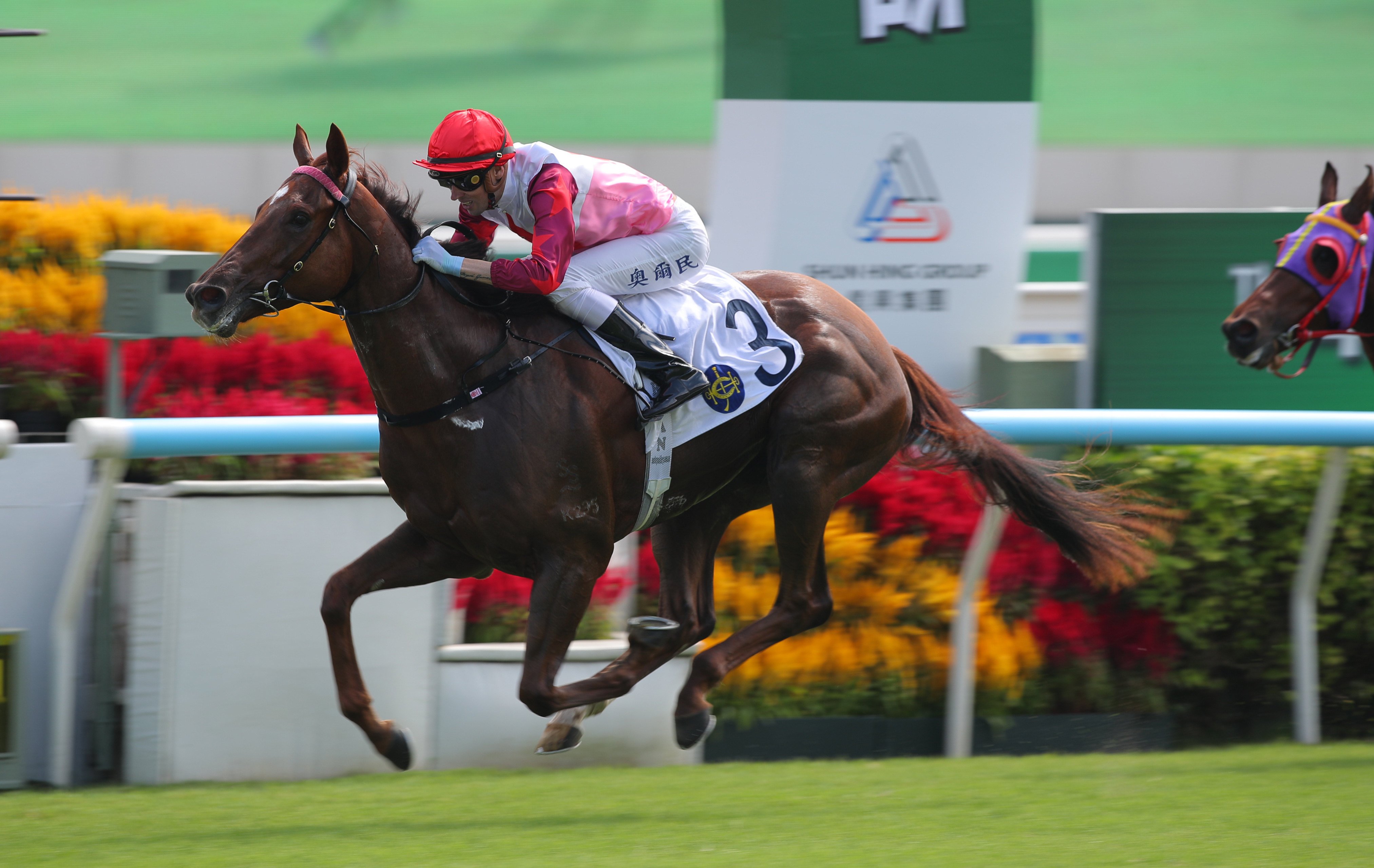 The impressive Ever Luck sails home under James Orman to salute at Sha Tin on Sunday. Photos: Kenneth Chan