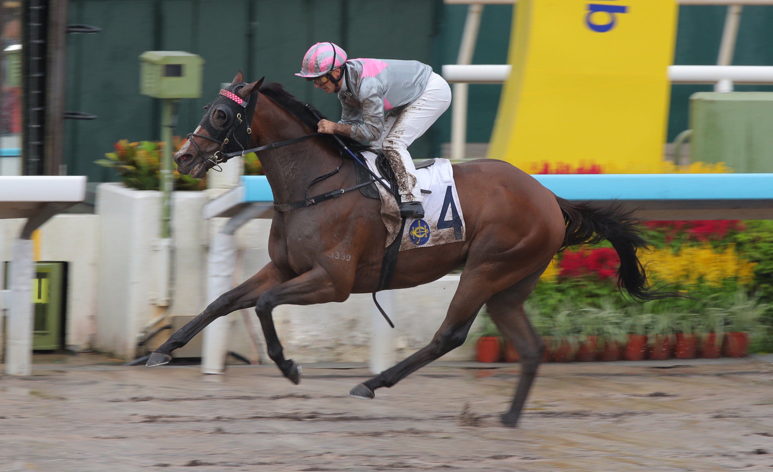 Mojave Desert bolts in on the dirt under Andrea Atzeni. Photos: Kenneth Chan