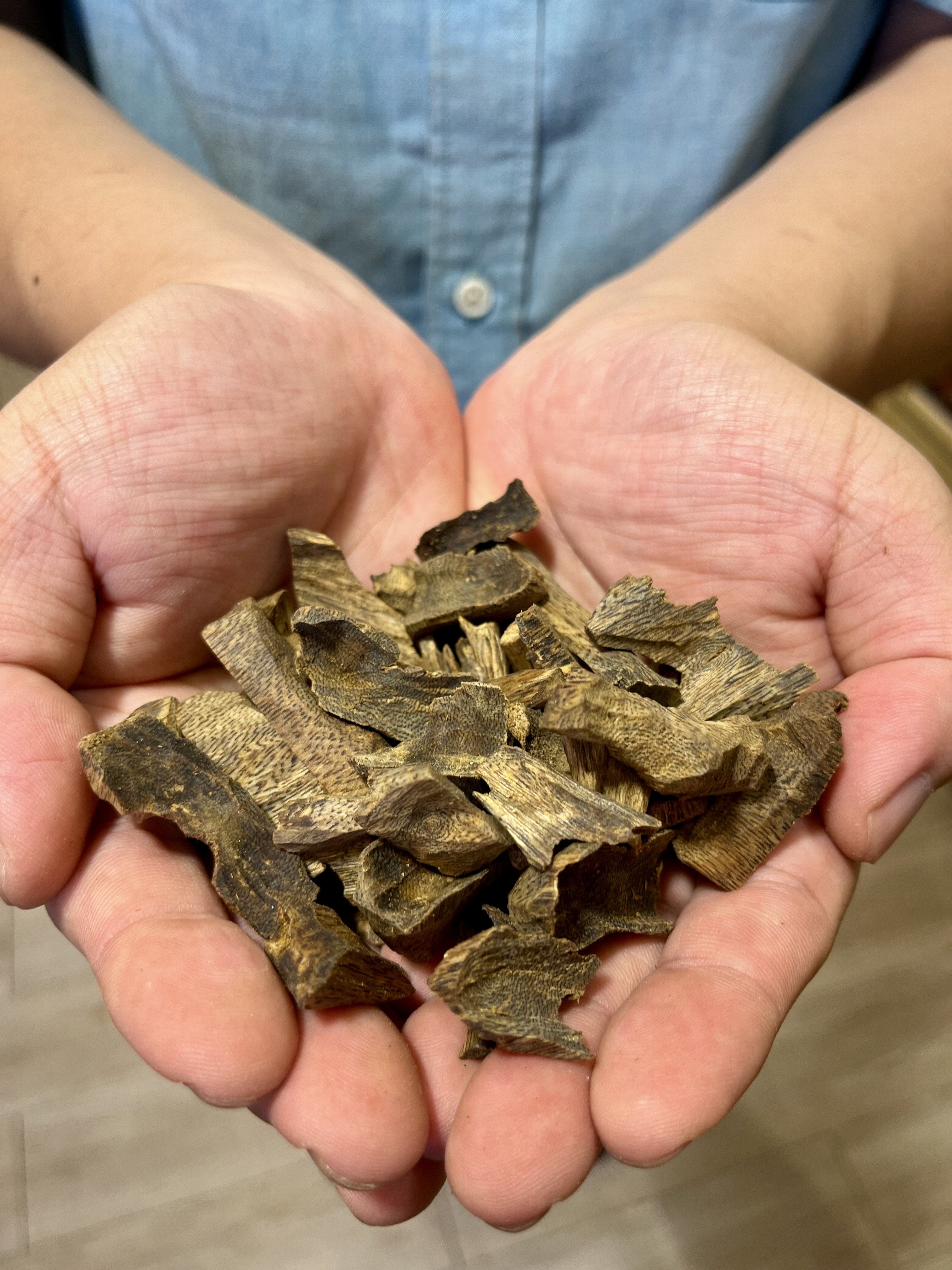 Hong Kong incense master Aaron Tang holds agarwood, a fragrant wood used in traditional medicine, religious ceremonies and perfumery that, in Hong Kong, is under threat from poaching and illegal logging. Photo: Kylie Knott