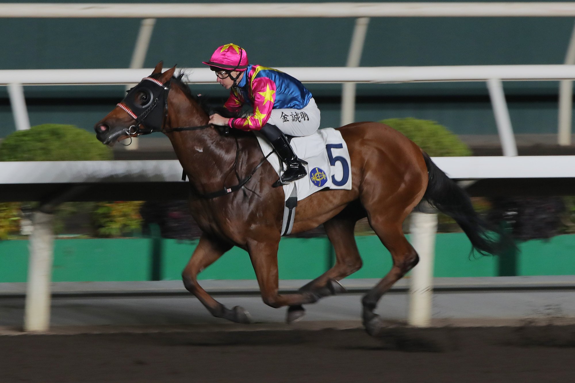 Chill Kaka wins under Richard Kingscote last season.