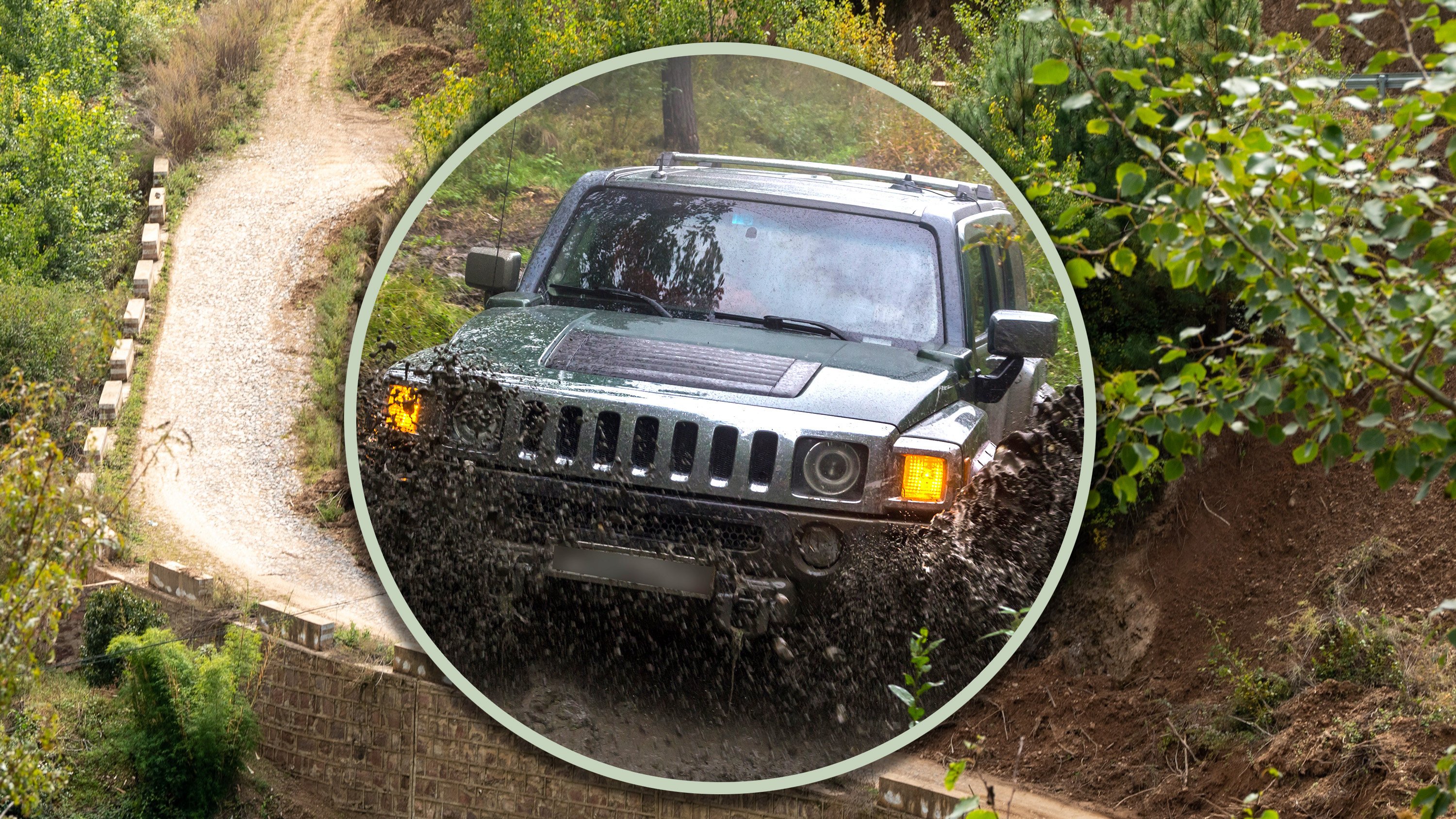 A Chinese man conspired with his friends to kill his mother by running her over with a car so they could pocket an insurance payout. Photo: Shutterstock