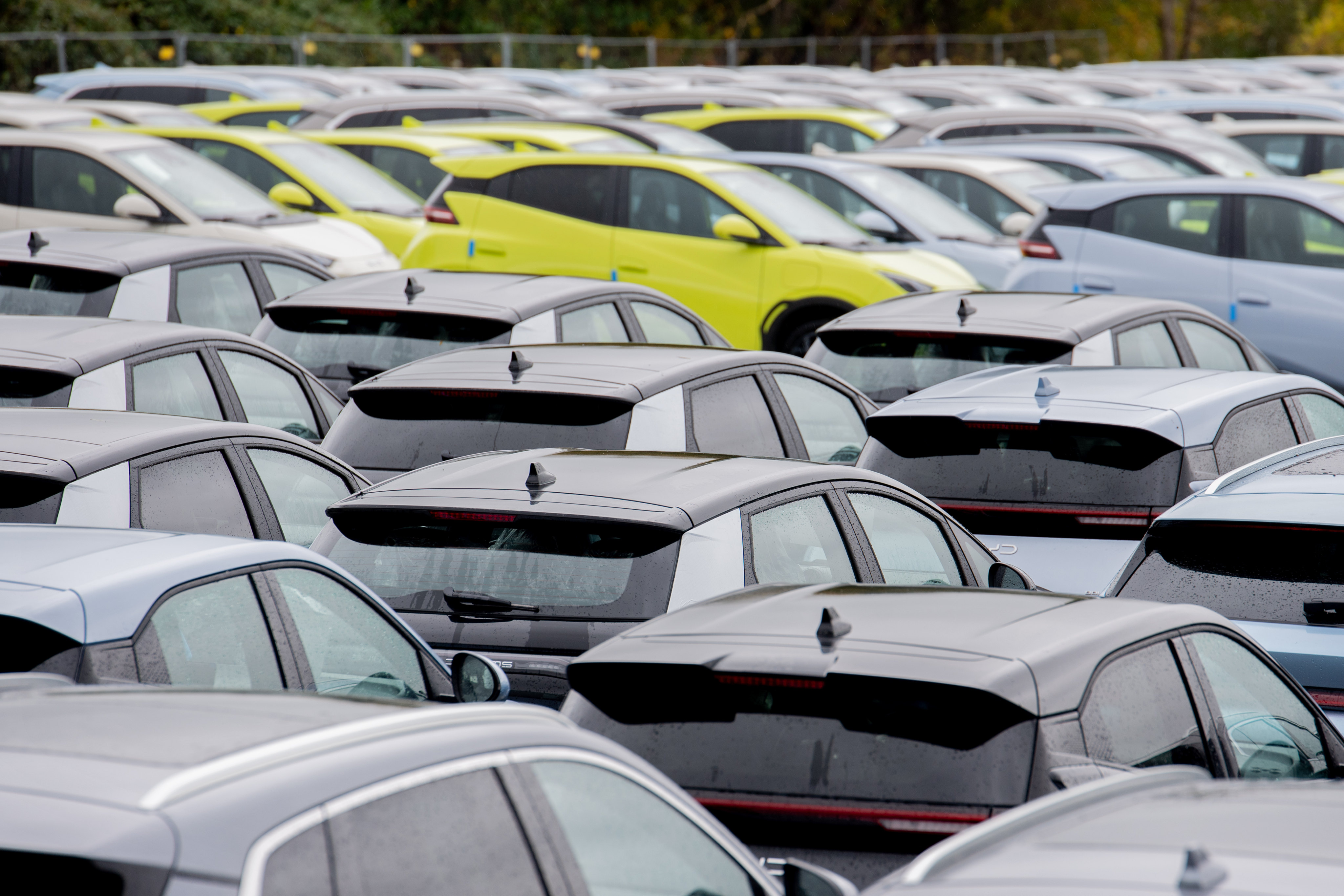 BYD cars sit in a lot in a port area of Wilhelmshaven, Germany, on October 25, 2025. Photo: DPA