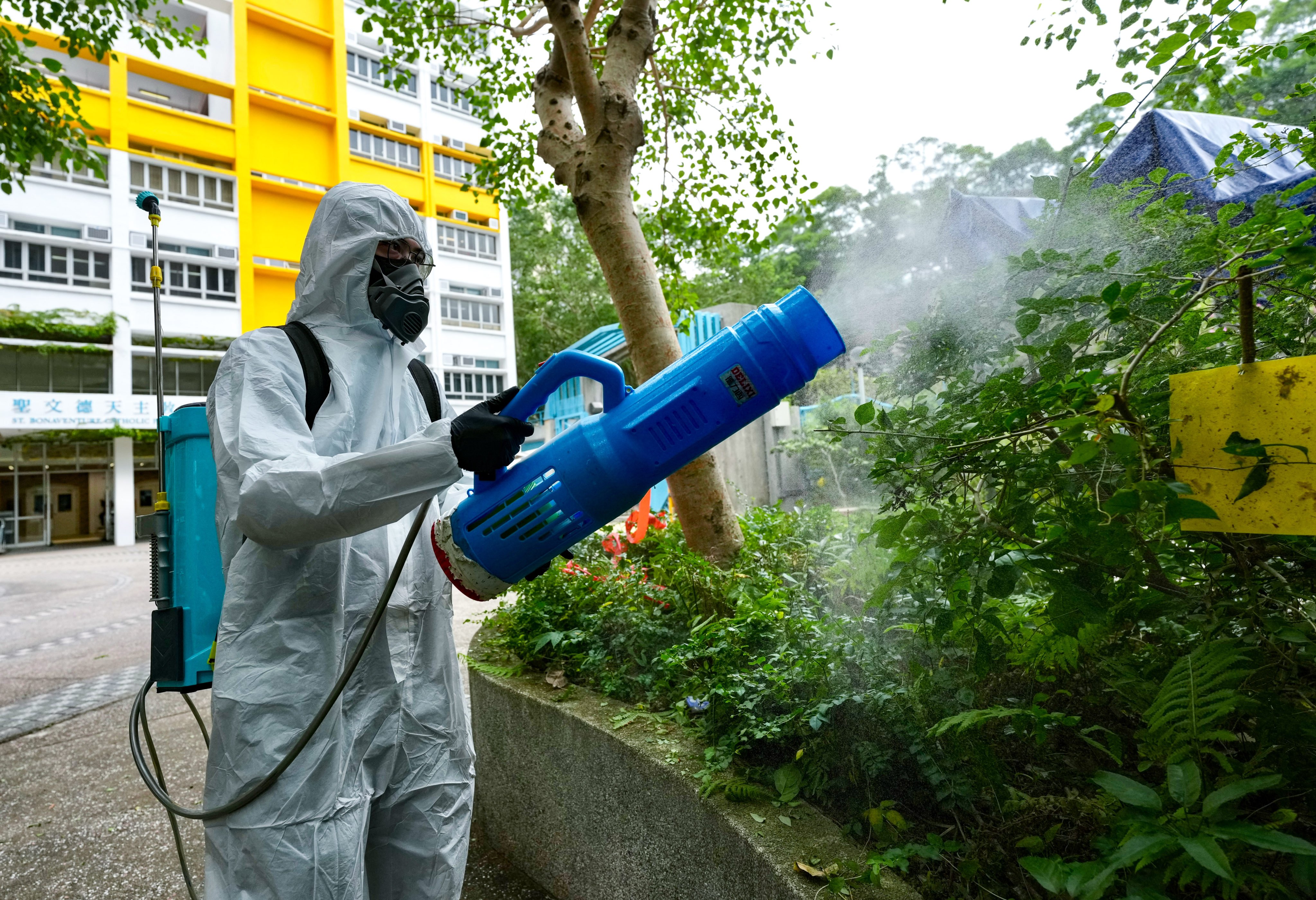 Mosquito control work is carried out near the location of the first patient’s home in Diamond Hill. Photo: Karma Lo