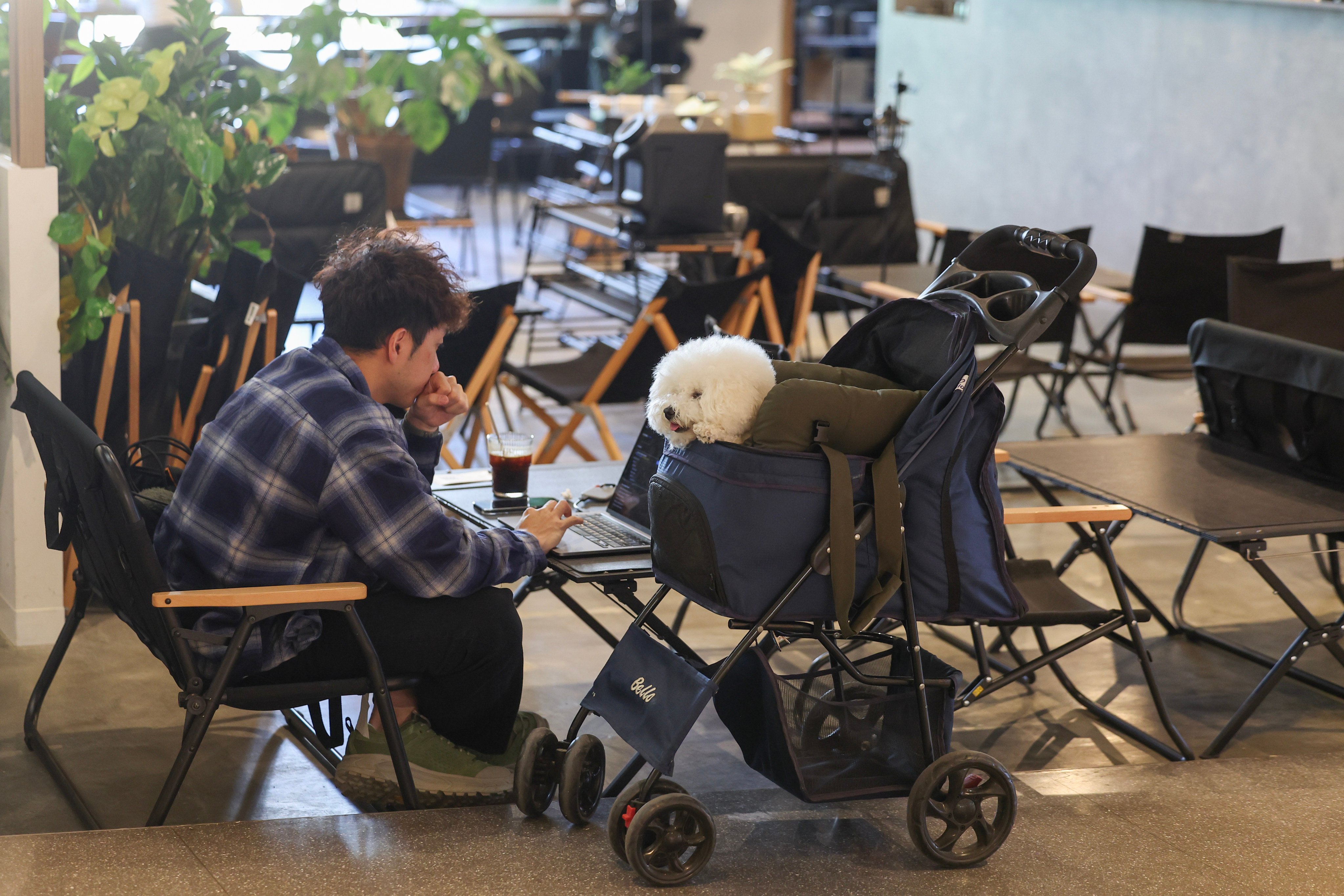 A man parks himself in a cafe with his dog in Kai Tak on January 3. Photo: Edmond So