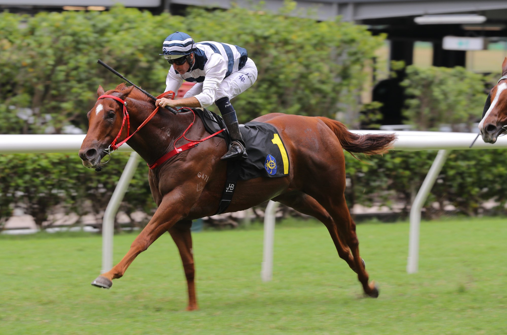 Denfield wins at this meeting 12 months ago under Hugh Bowman.