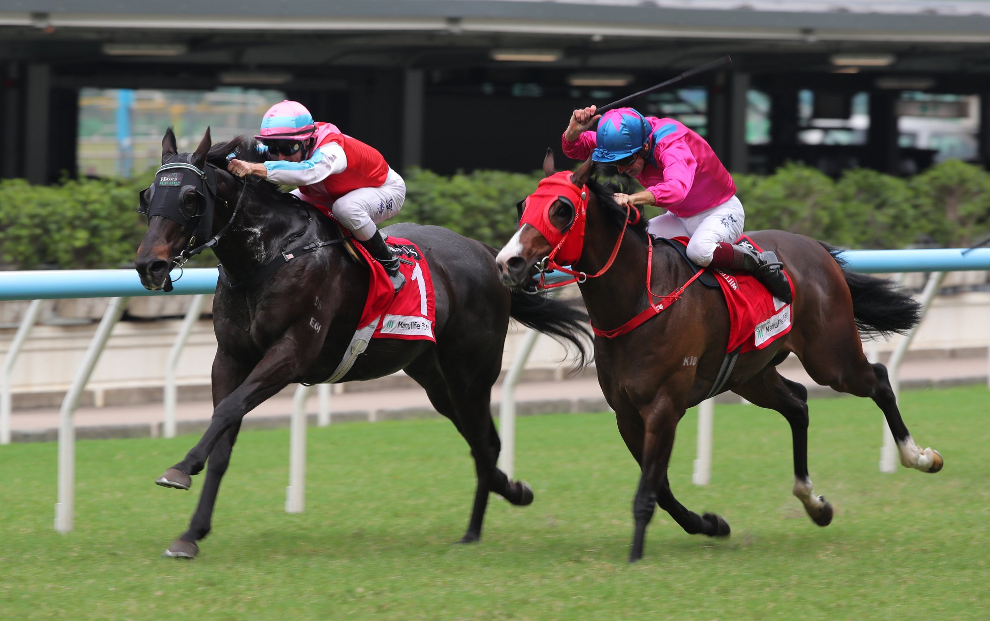Harmony N Blessed grits his teeth and wins at Happy Valley.
