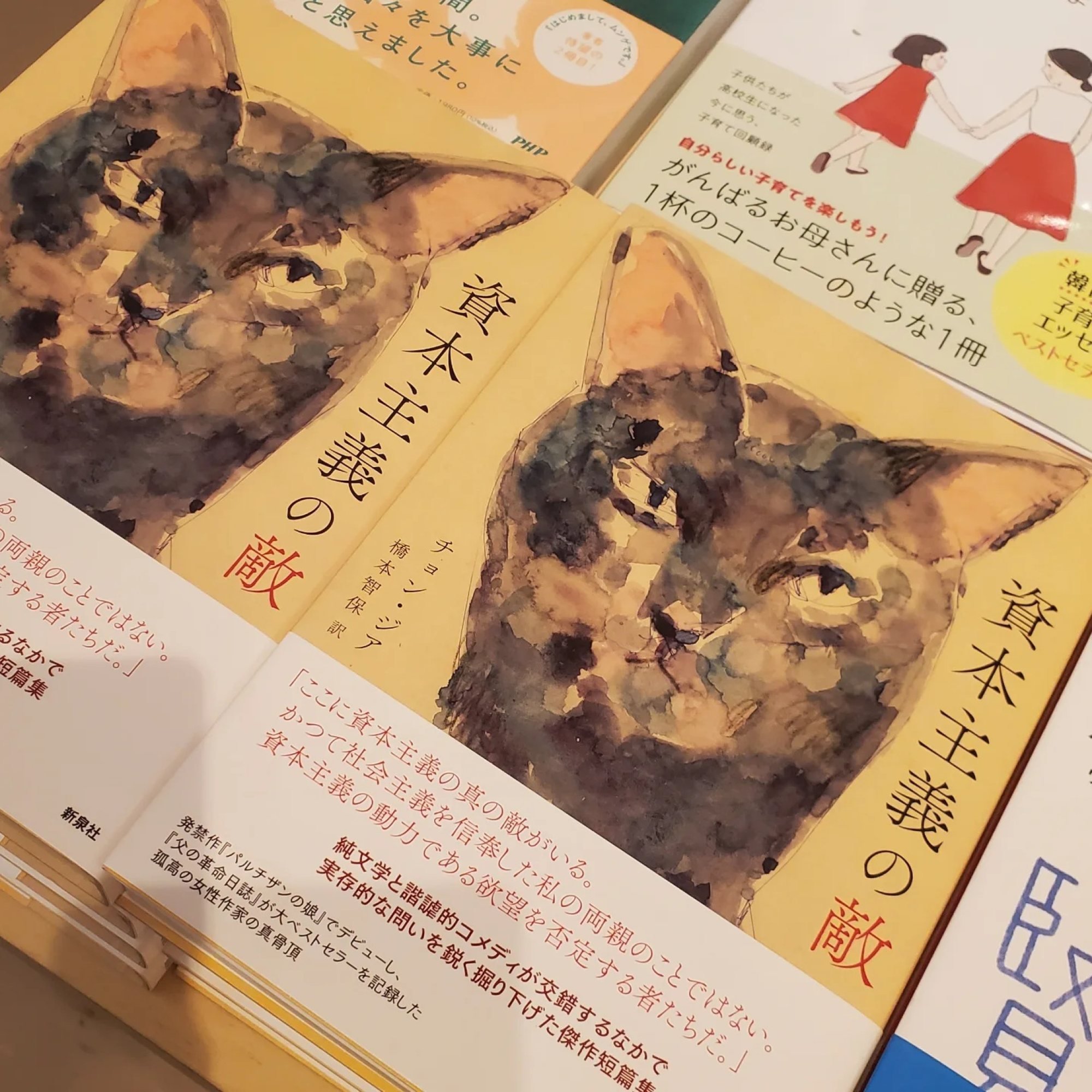 The Japanese translation of the Korean author Jeong Ji-a's 