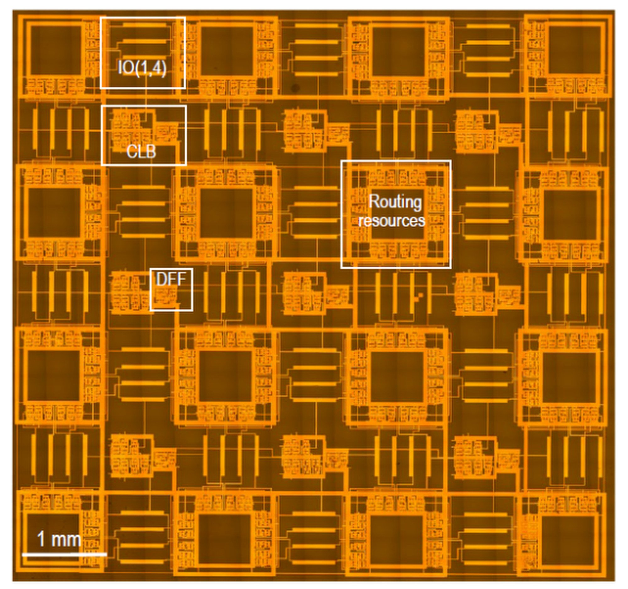The FPGA chip is just 1 nanometre in width. Photo: Handout