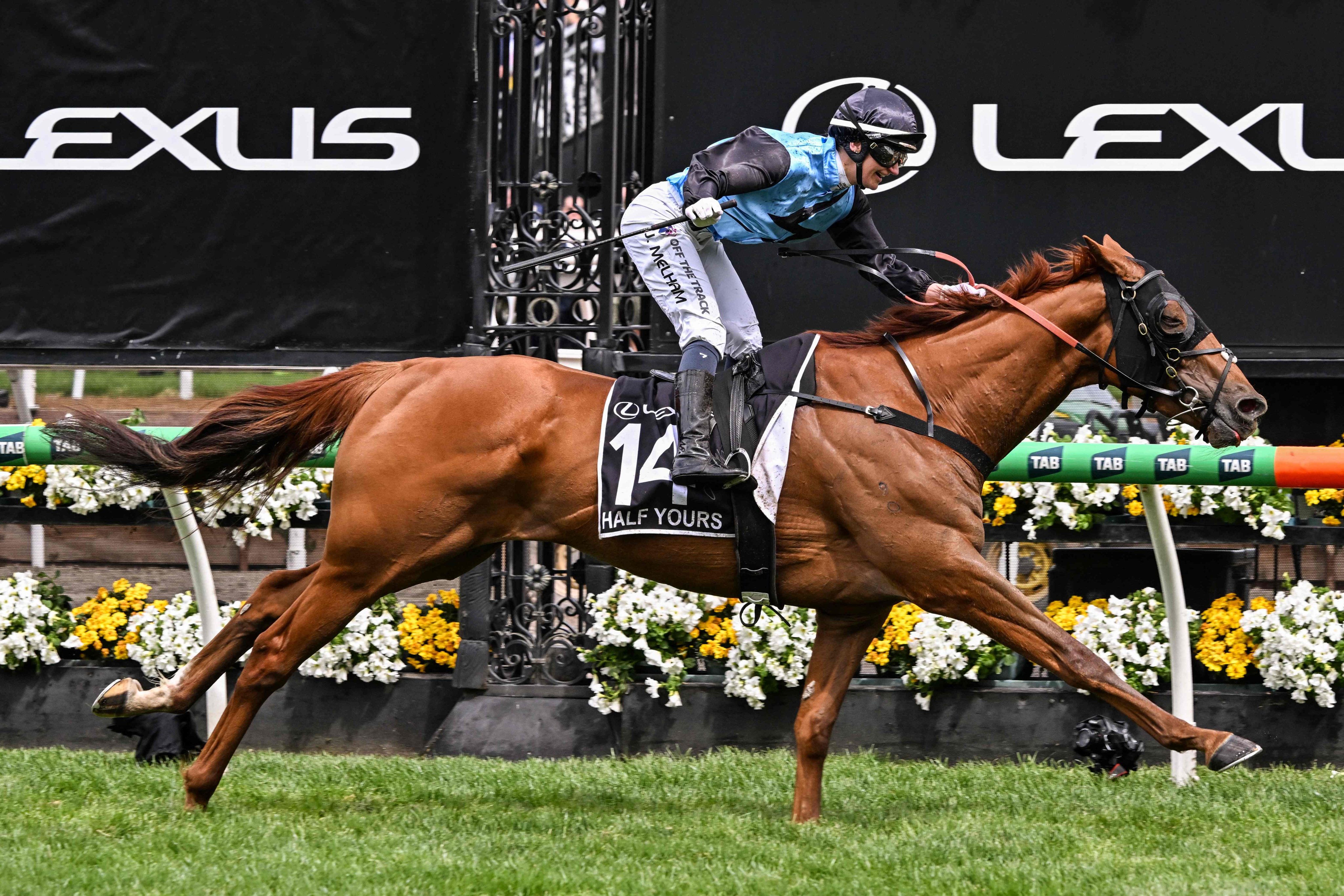 Half Yours ridden by Australian jockey Jamie Melham wins the Melbourne Cup. Photo: AFP