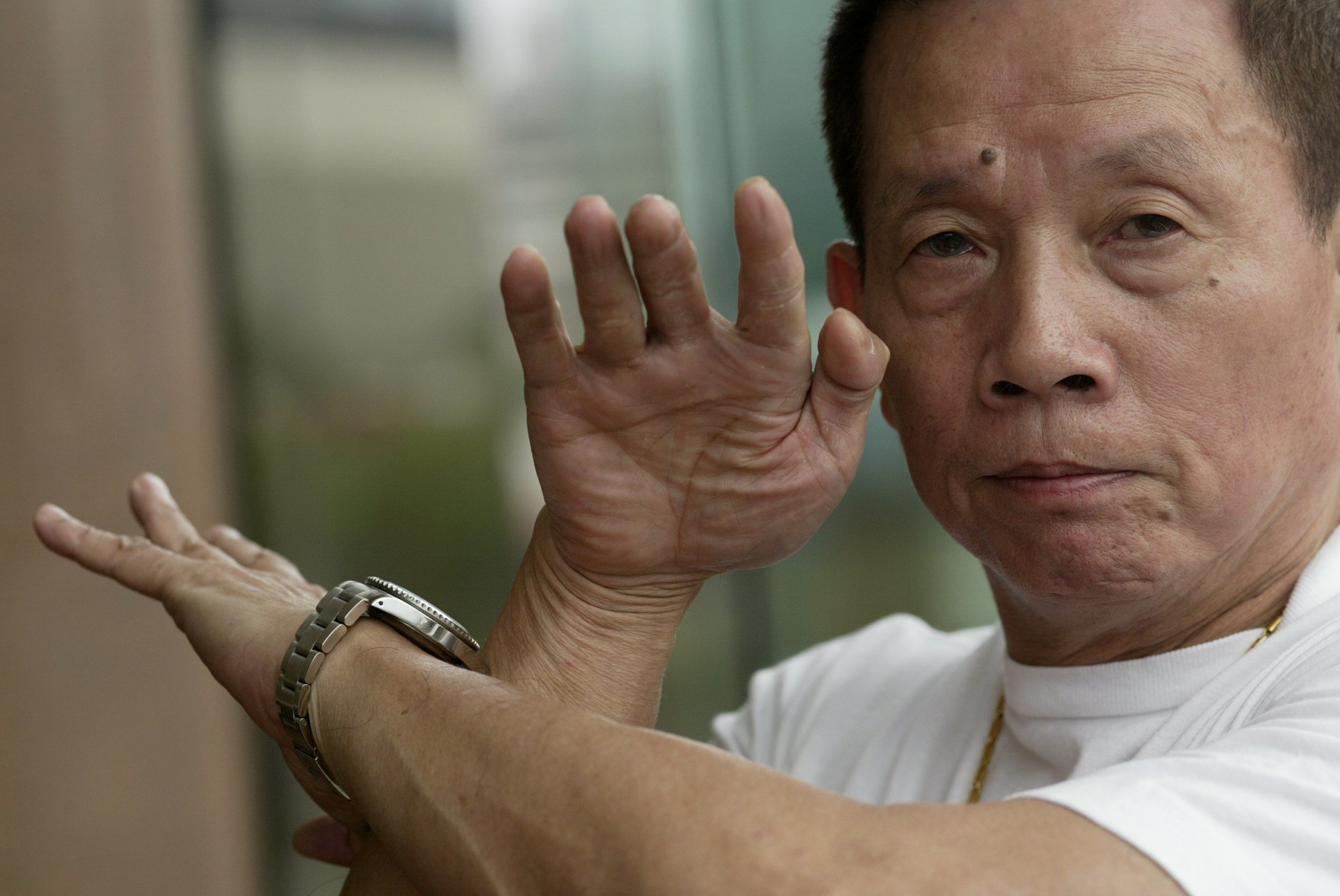 Lau Kar-leung was a kung fu master. Photo: K. Y. Cheng