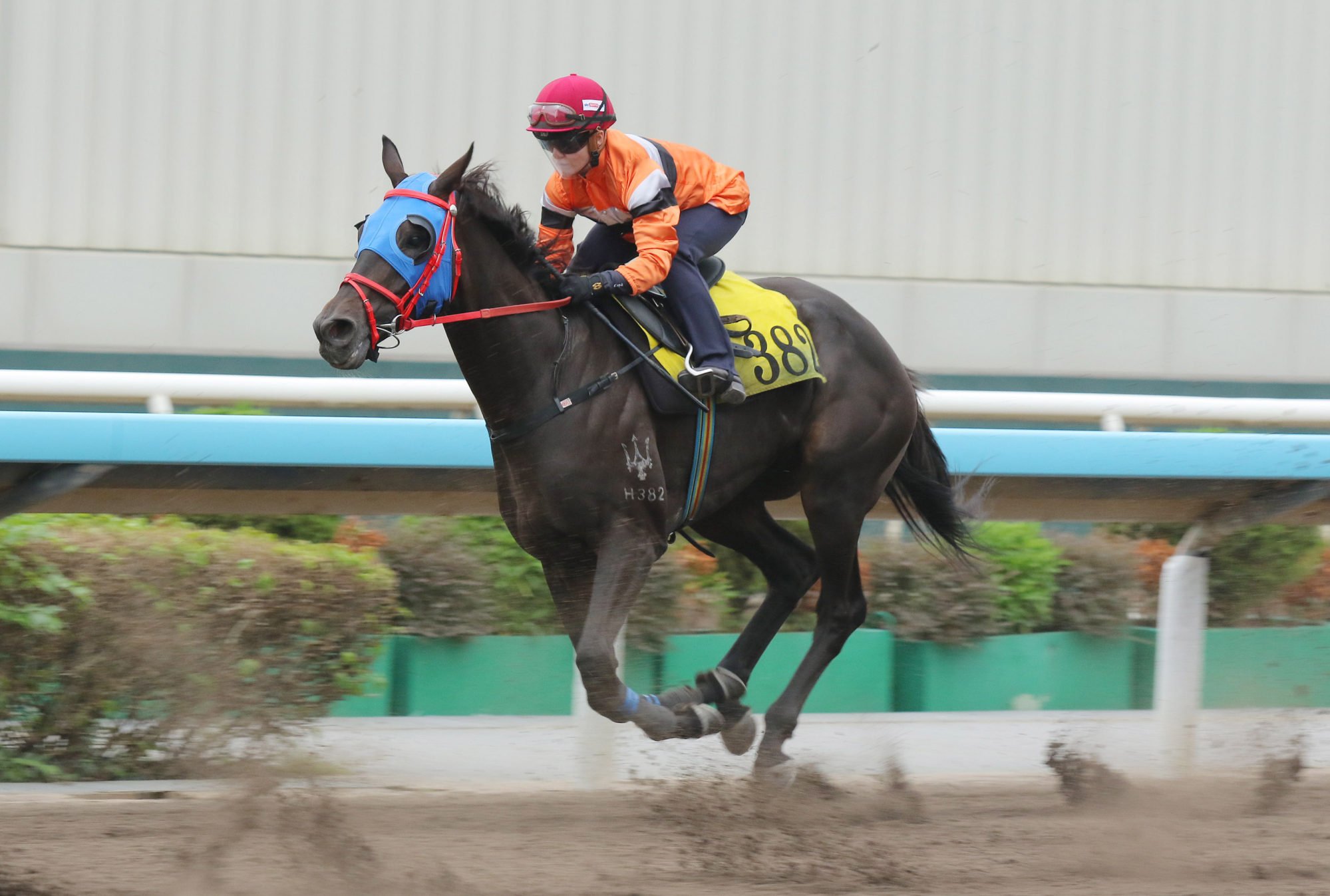 Hollie Doyle trials Double Win at Happy Valley.