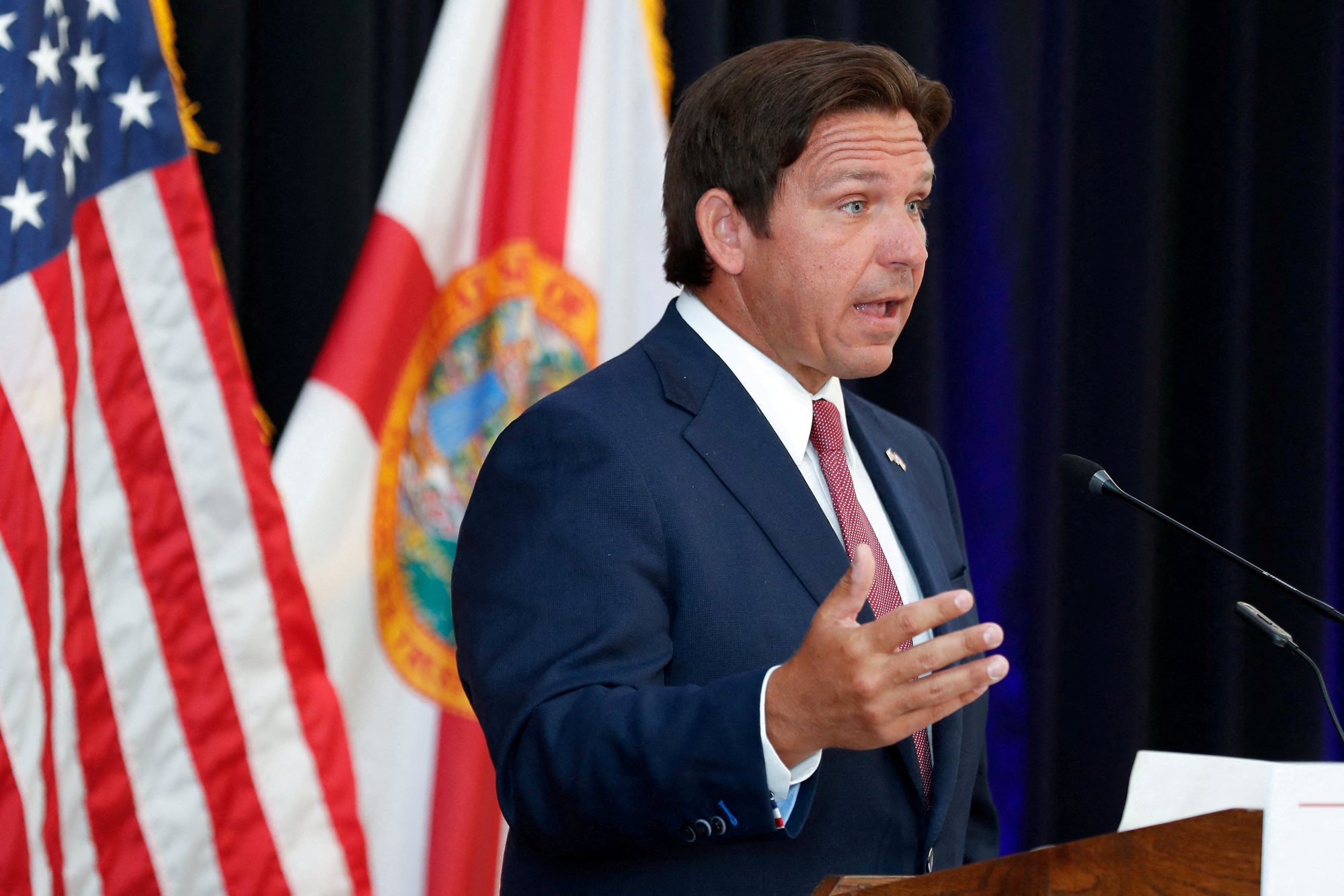 Florida Governor Ron DeSantis speaks during a press conference in Tampa, Florida, in June 2024. Photo: Reuters