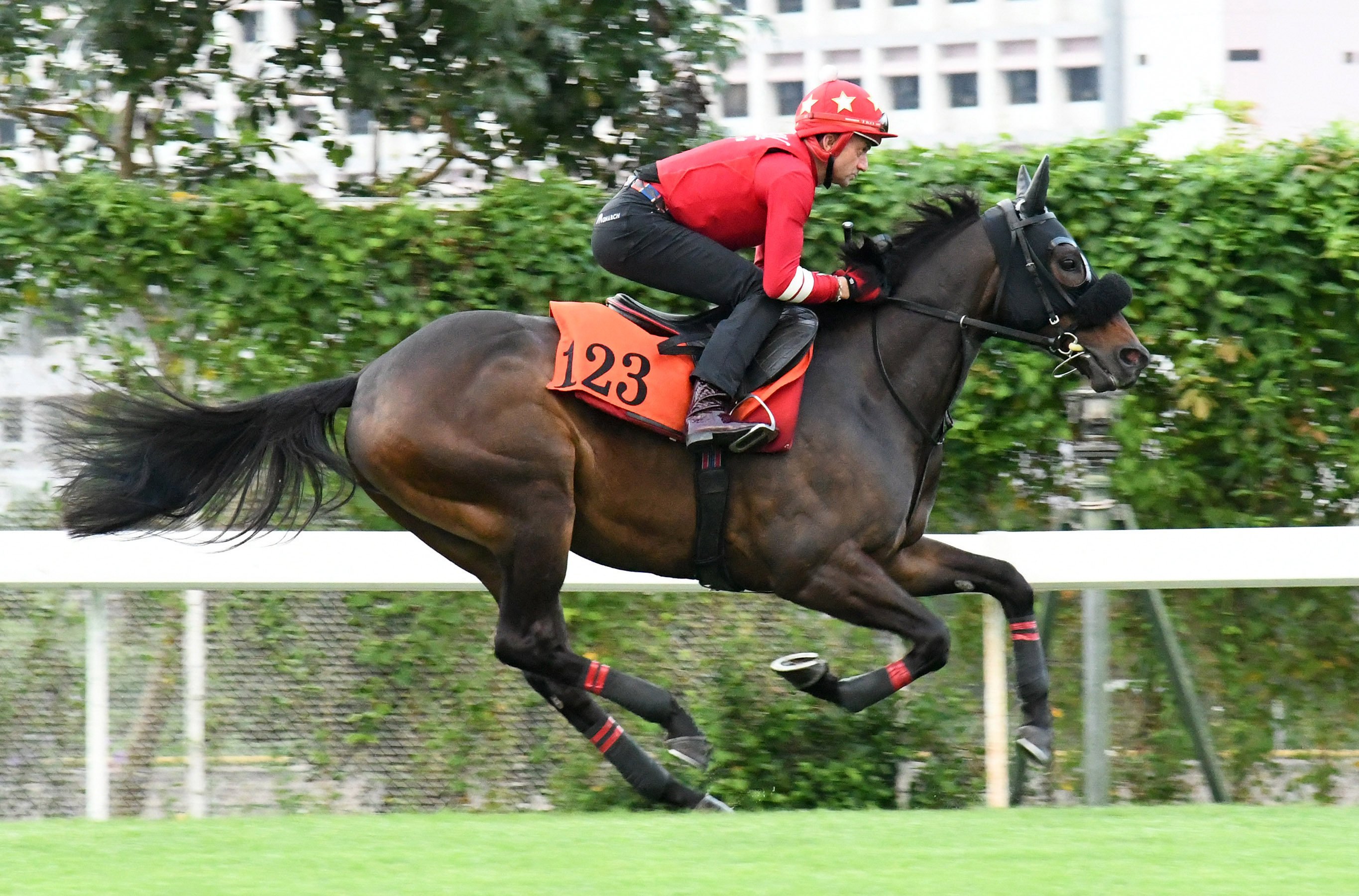 Douglas Whyte gallops Shanwah at Sha Tin last month. Photos: Kenneth Chan