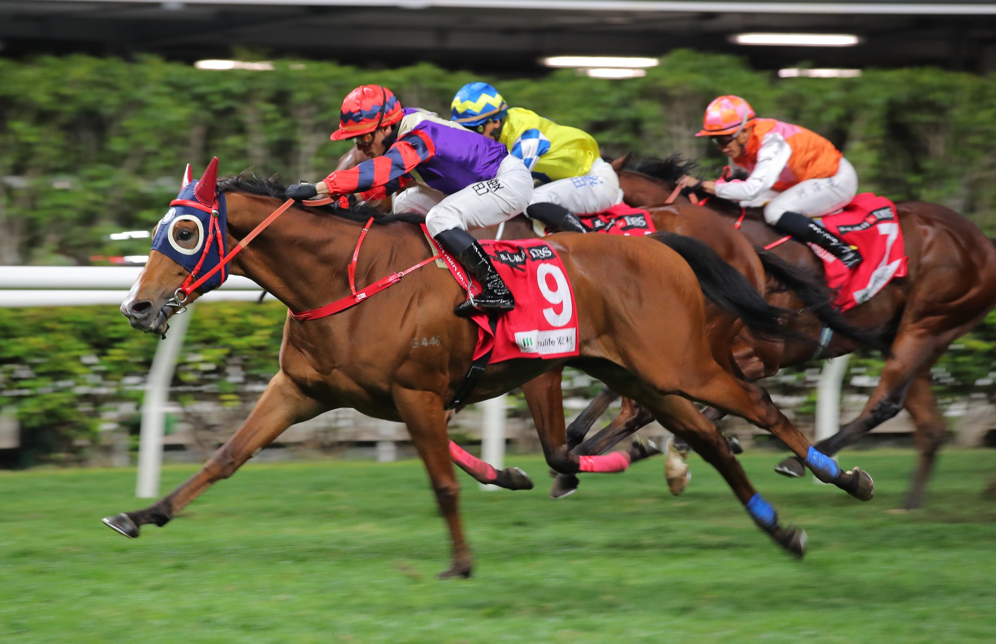 Happy Together won last year’s January Cup under Alexis Badel. Happy Together won last year’s January Cup under Alexis Badel.