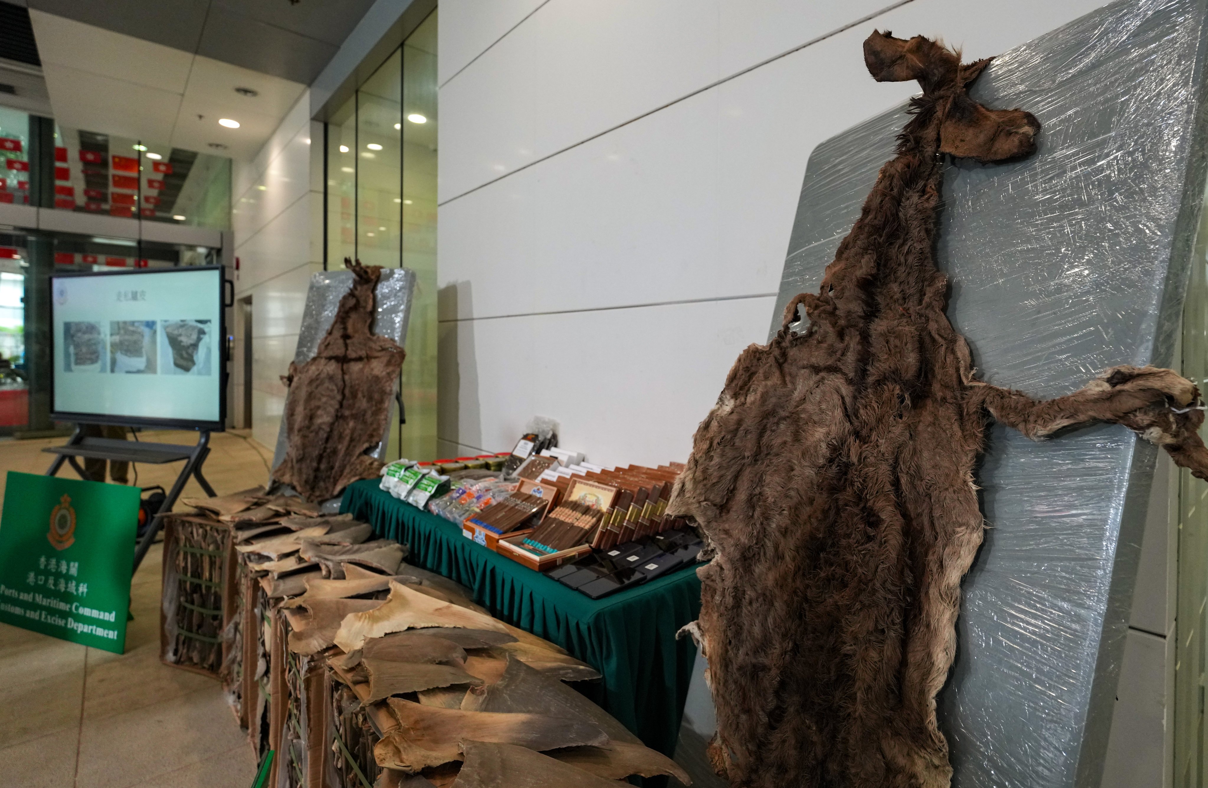 Donkey skins, dried shark fins and other smuggled goods are displayed at a Hong Kong customs press conference on October 27. Photo: Jelly Tse