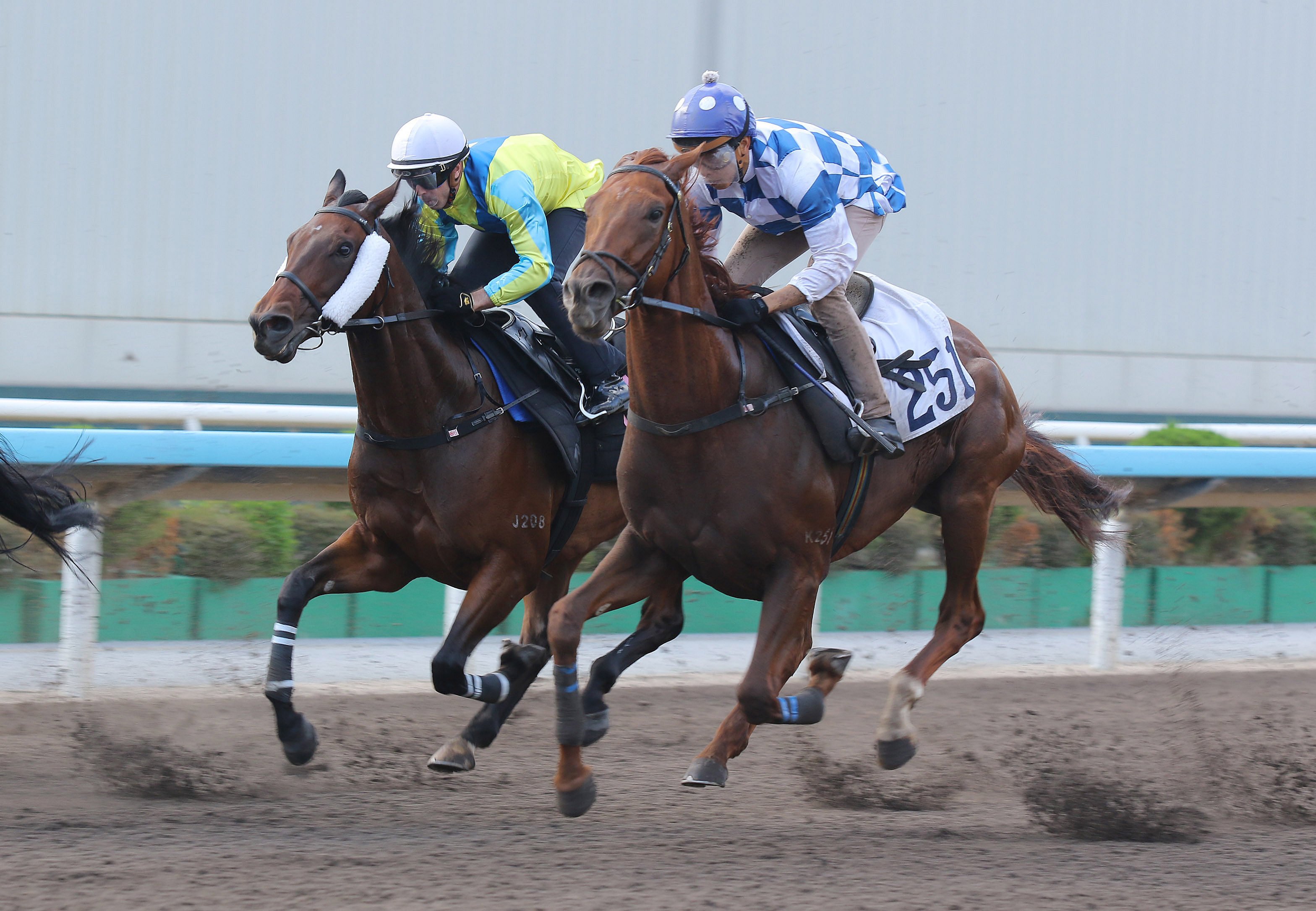 Massive Sovereign (left) and Snowfield trial at Sha Tin. Photos: Kenneth Chan