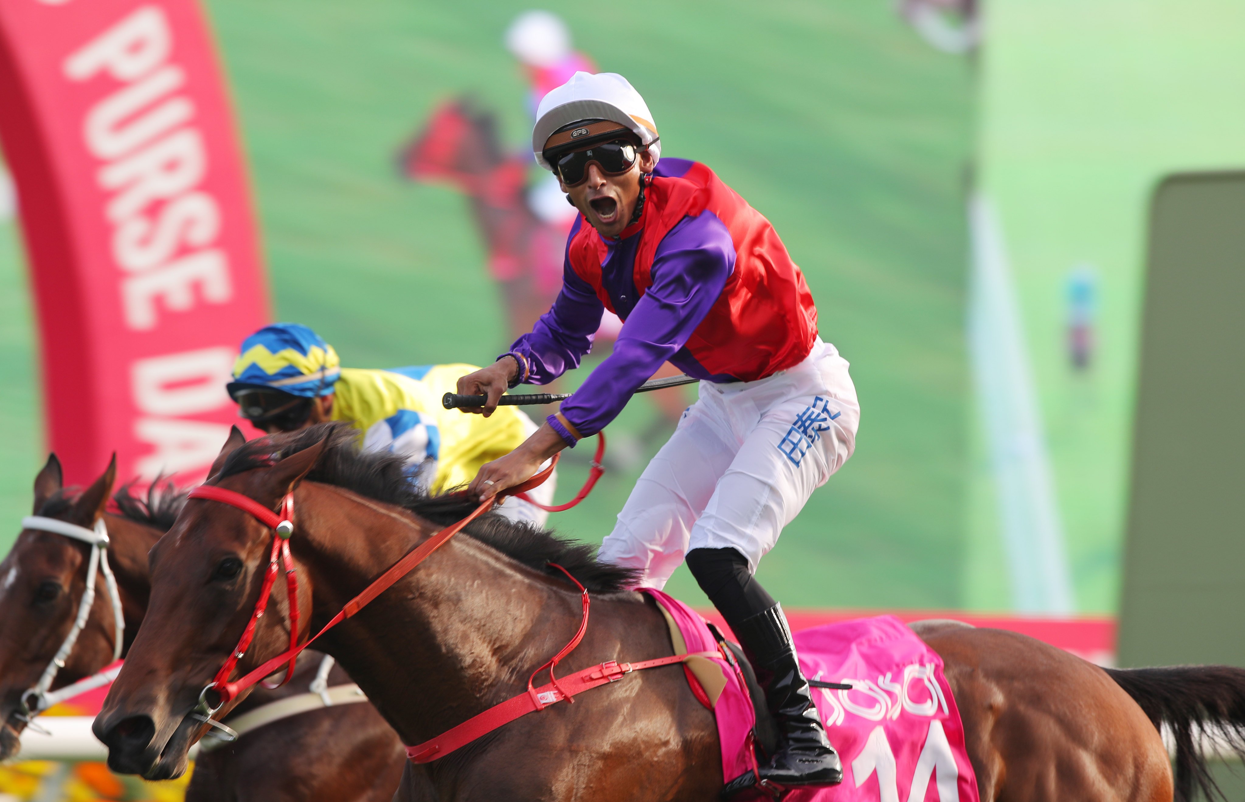 Ensued wins last year’s Group Three Sa Sa Ladies’ Purse (1,800m) under Karis Teetan. Photos: Kenneth Chan