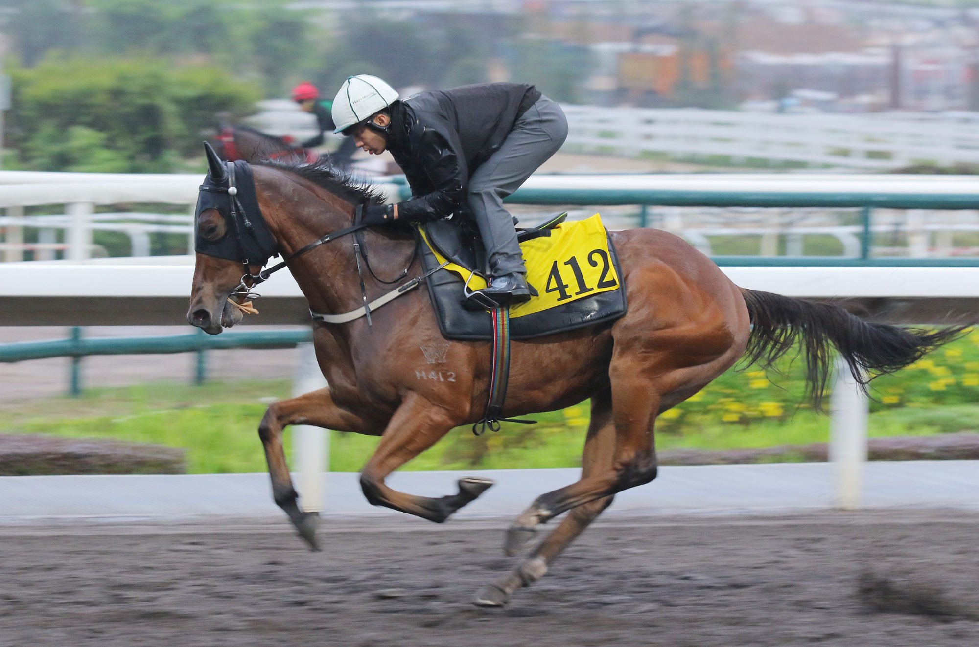 Rubylot gallops at Sha Tin on Friday.
