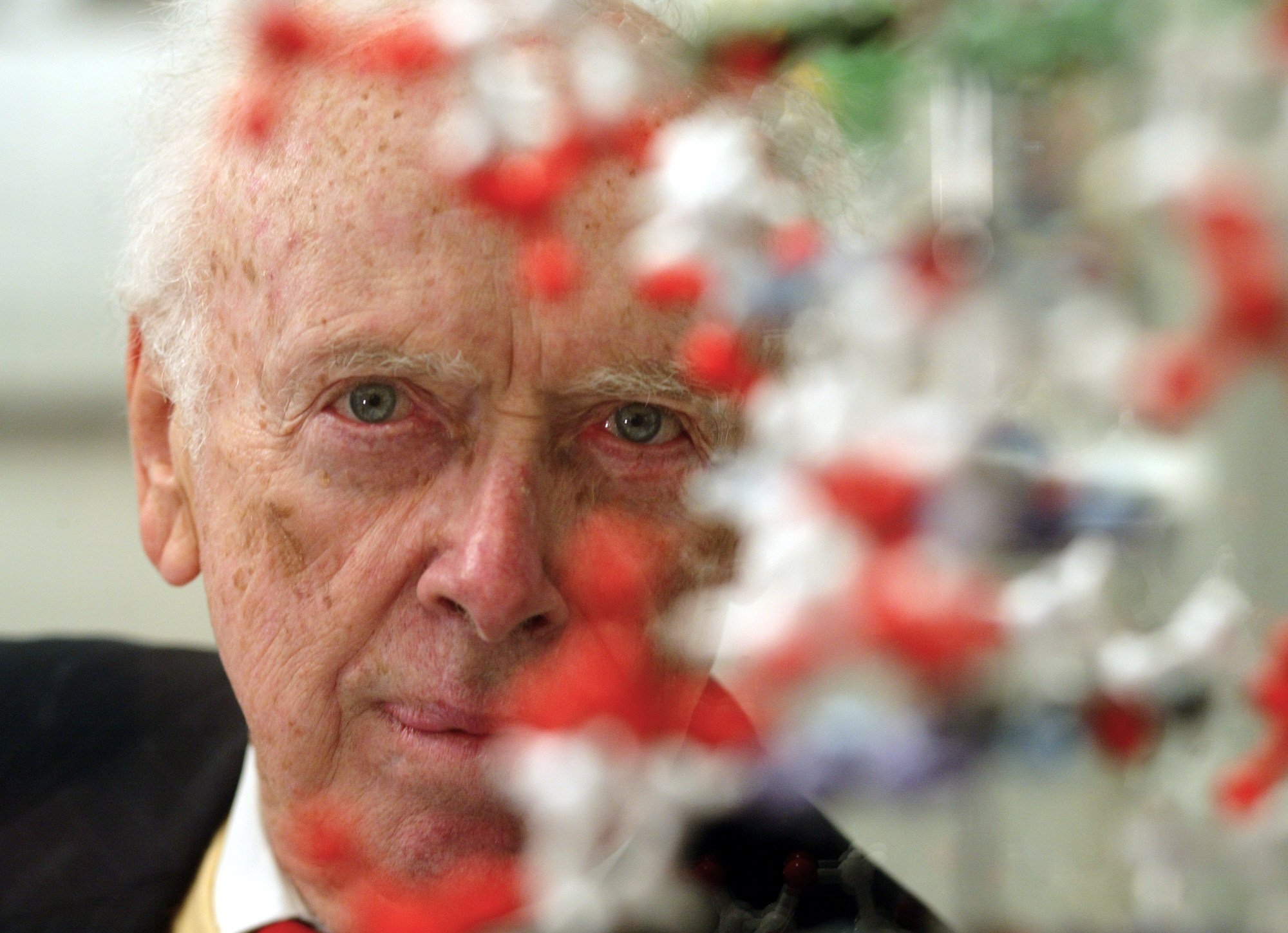 US biologist James Watson poses for a portrait at an exhibition in Berlin in October 2004. Photo: AP