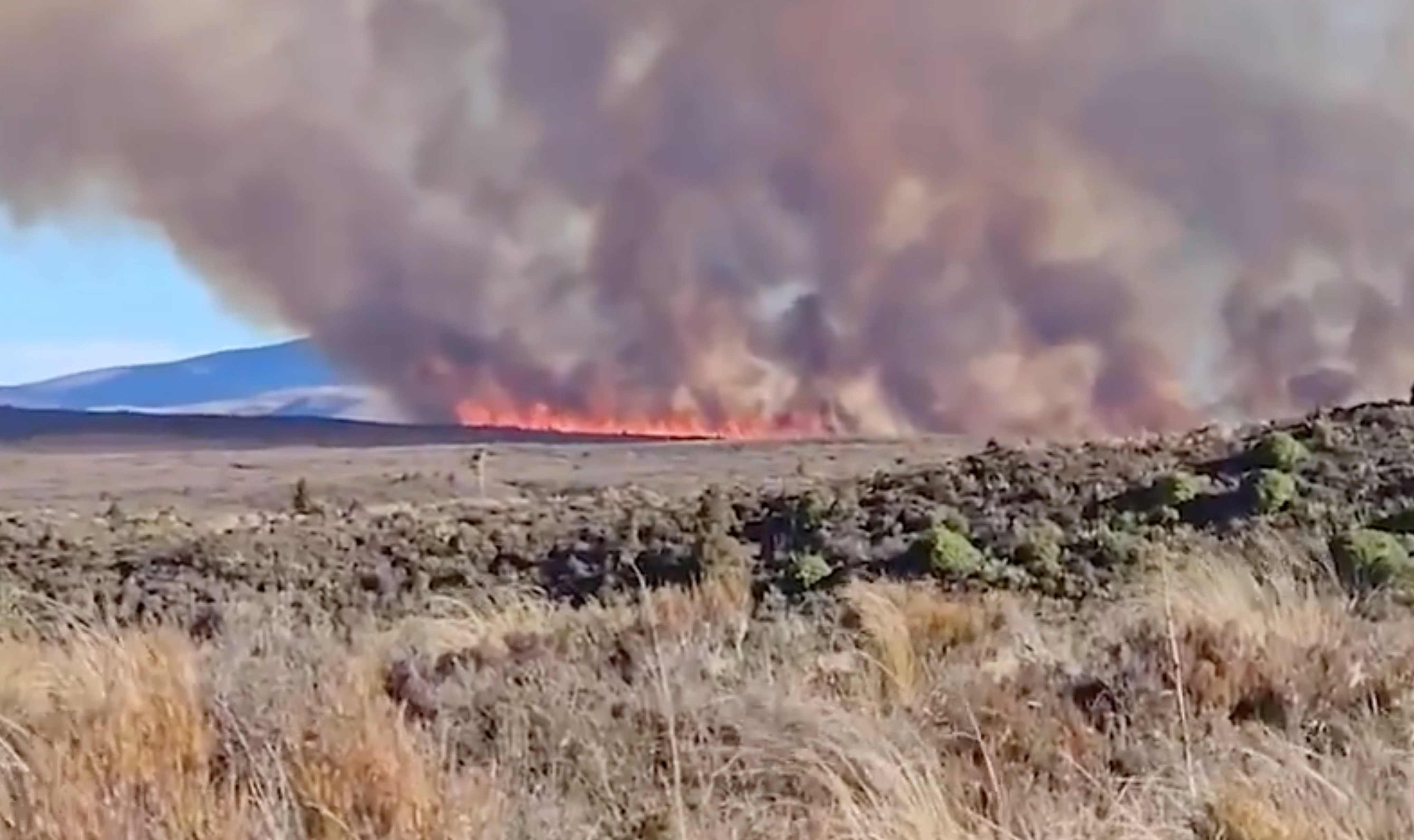 New Zealand authorities said on Sunday that extra aircraft were being sent to fight an out-of-control wildfire on the country’s North Island. Photo: Handout