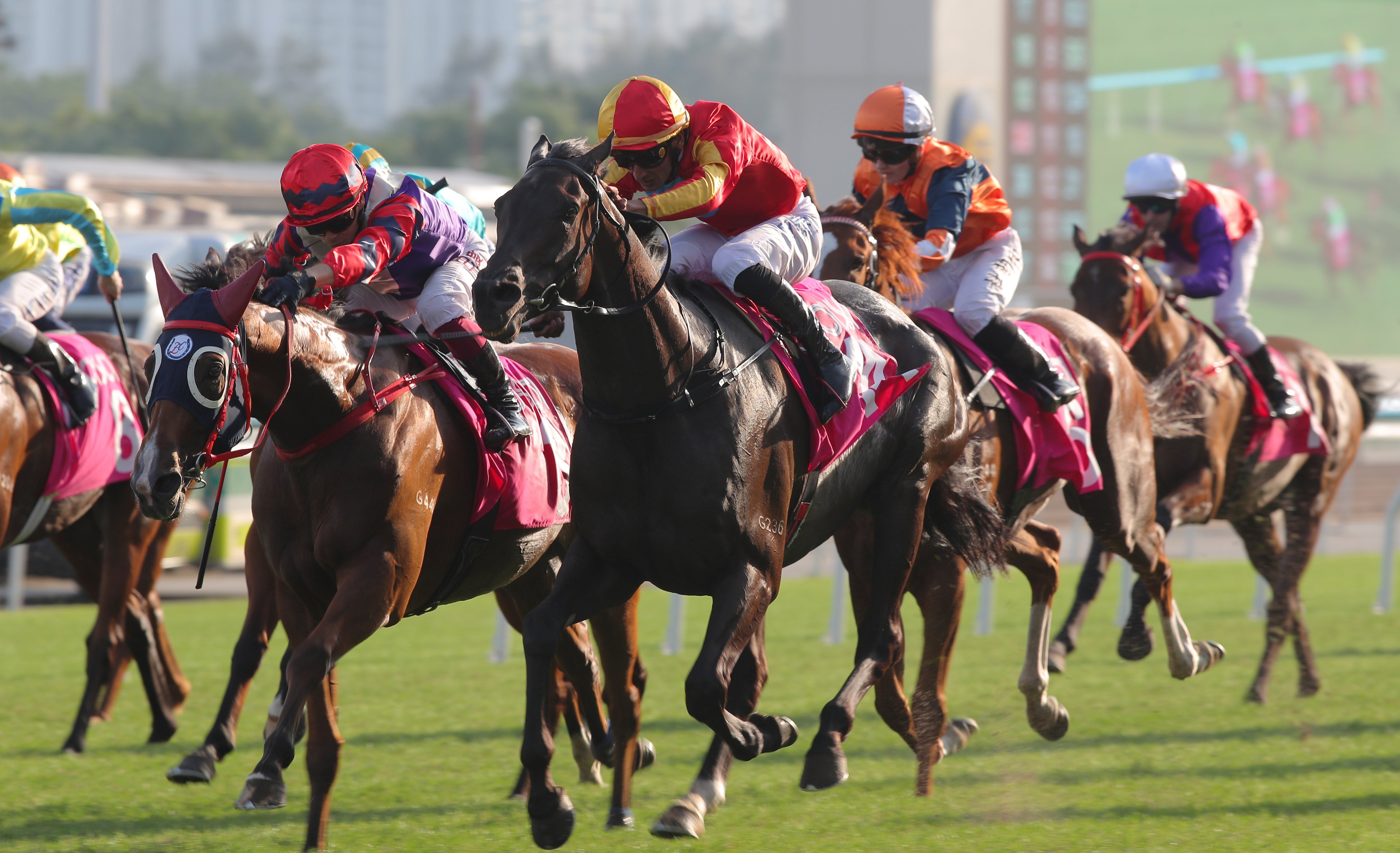 Encountered wins the Group Three Sa Sa Ladies’ Purse (1,800m) under Karis Teetan. Photos: Kenneth Chan