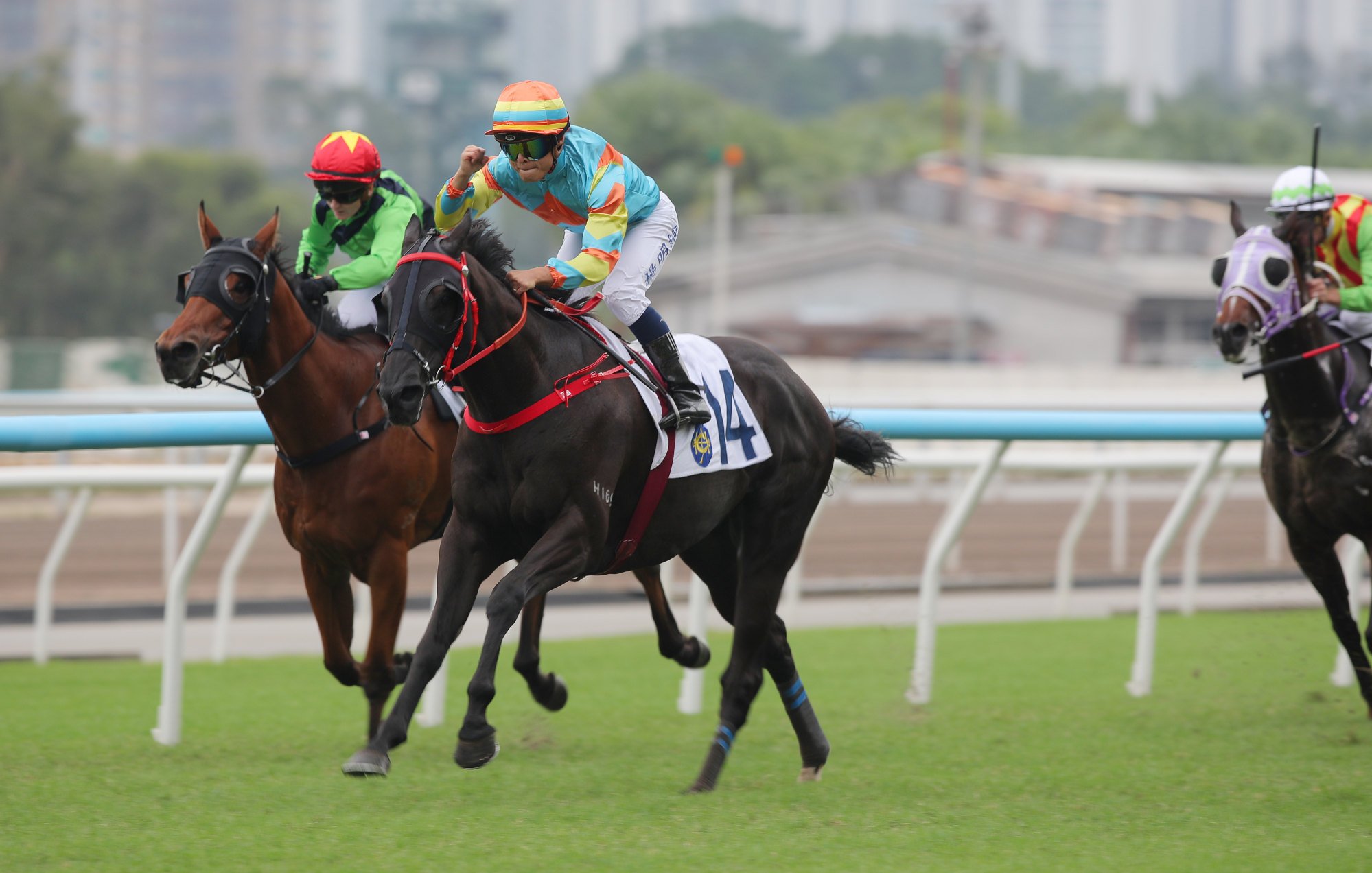 Keith Yeung pumps his fist in celebration as Ka Ying Power cruises to victory. Keith Yeung pumps his fist in celebration as Ka Ying Power cruises to victory.